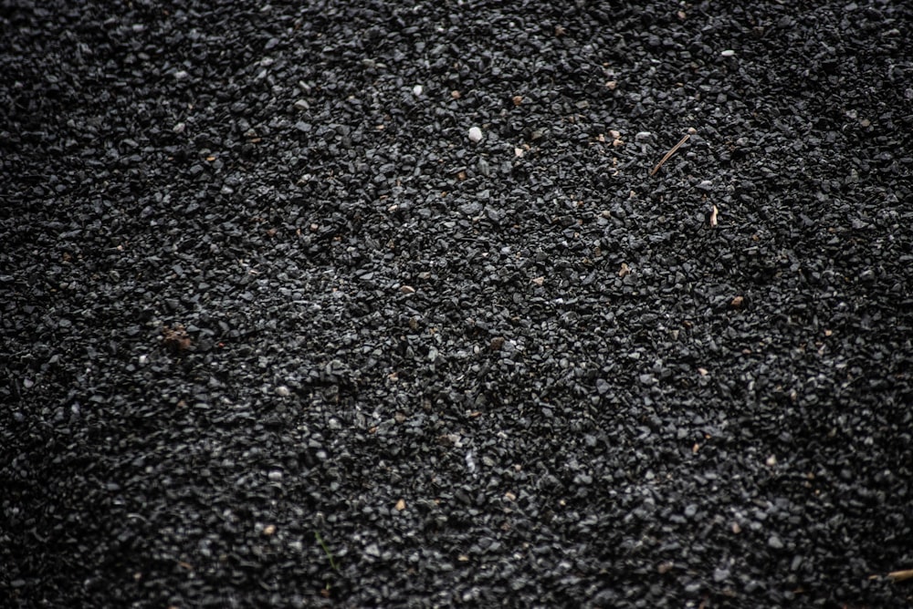 black and white pebbles on ground