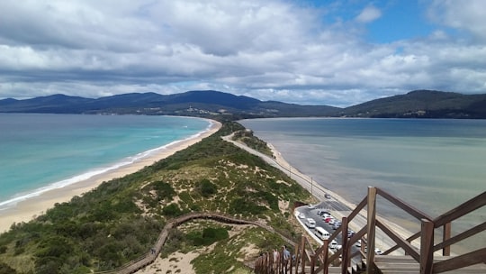The Neck Lookout things to do in Bruny Islan