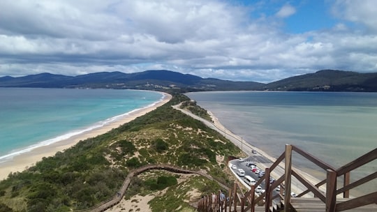 The Neck Lookout things to do in Bruny Island