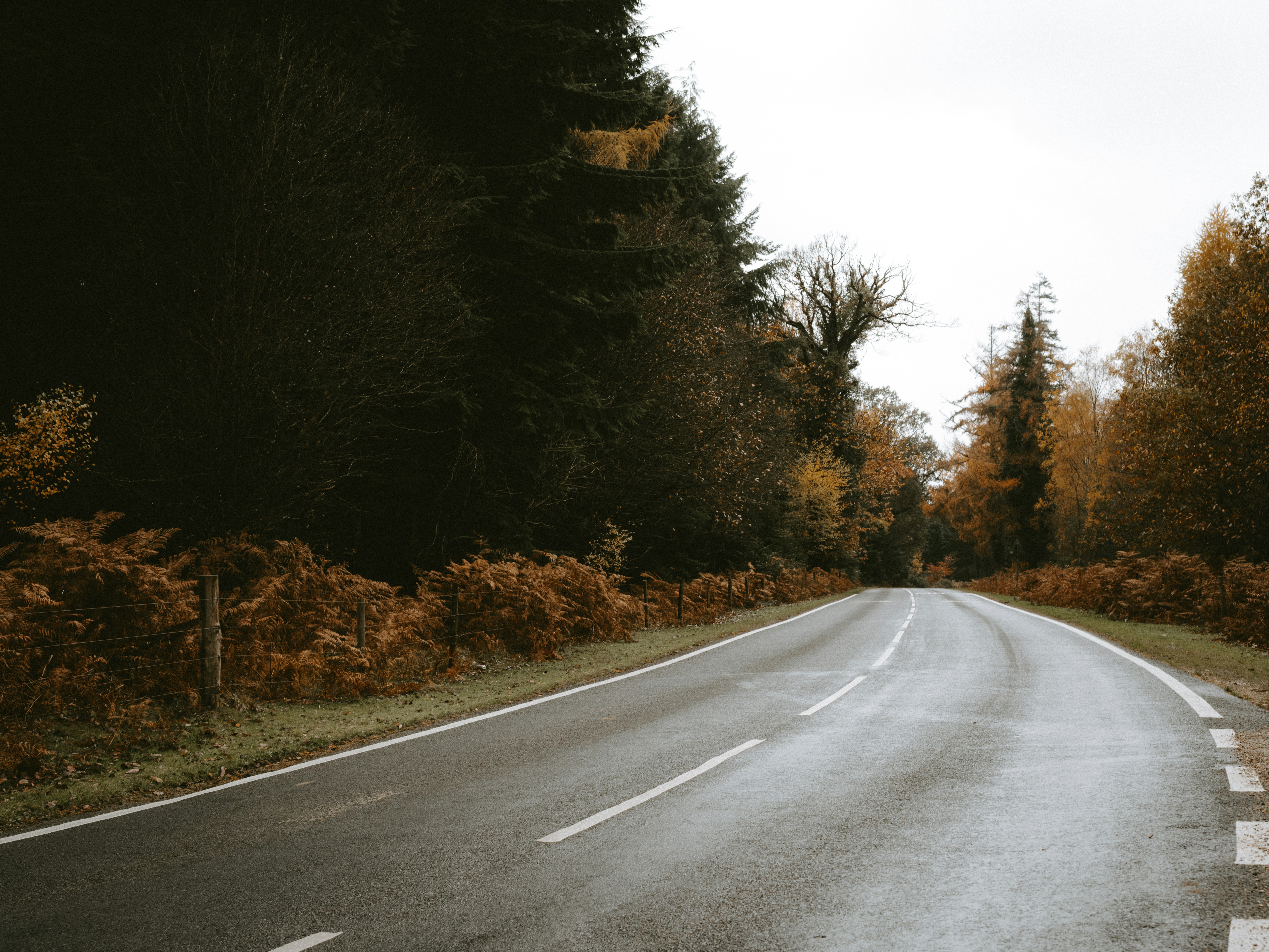 Photo by anniespratt