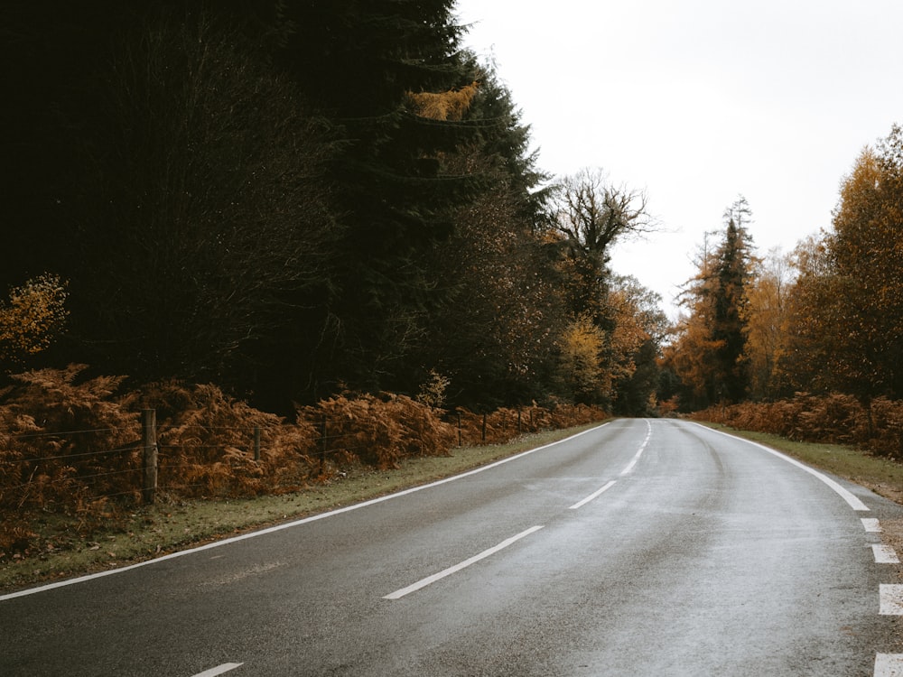 empty road