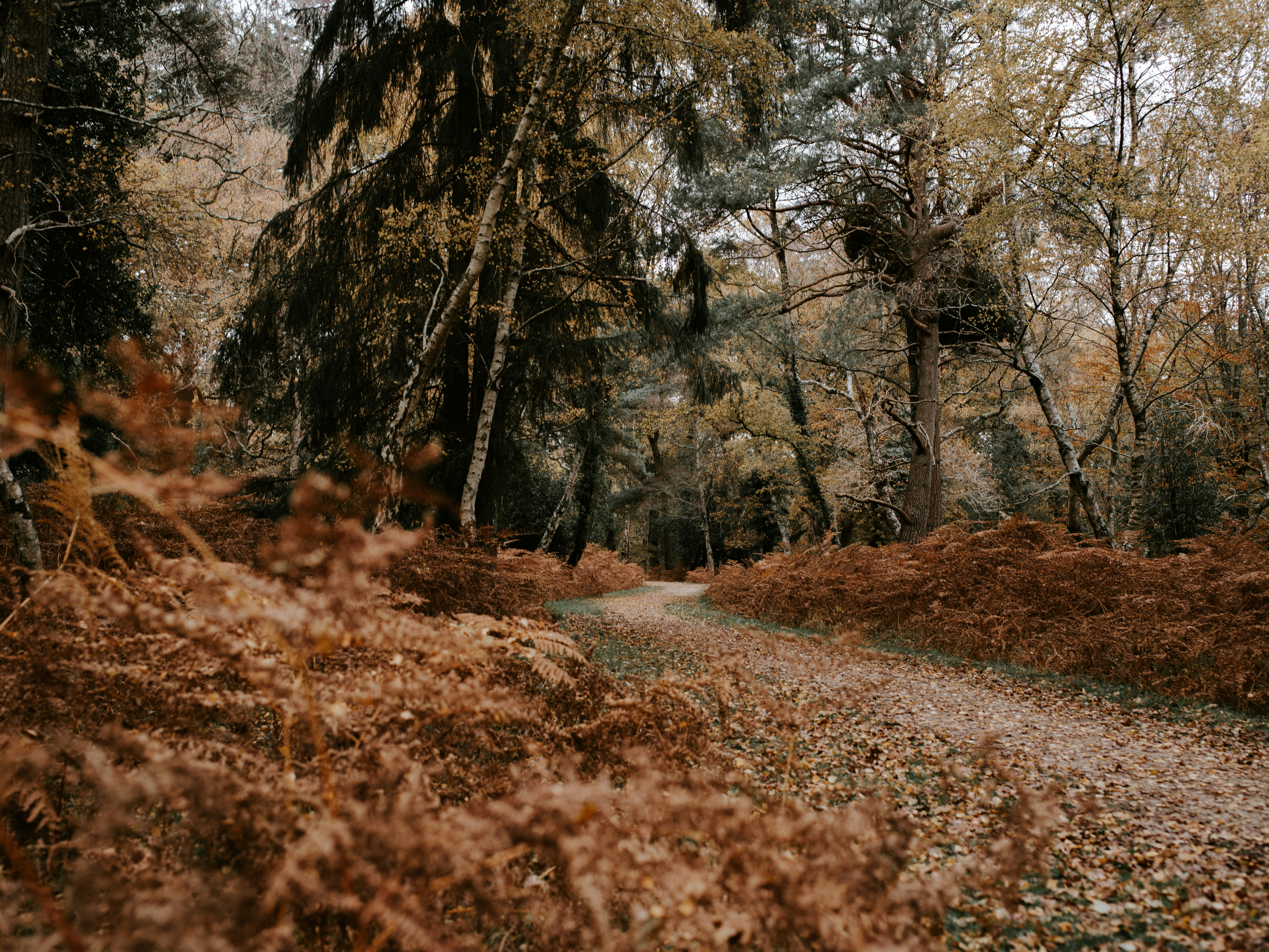 Photo by anniespratt