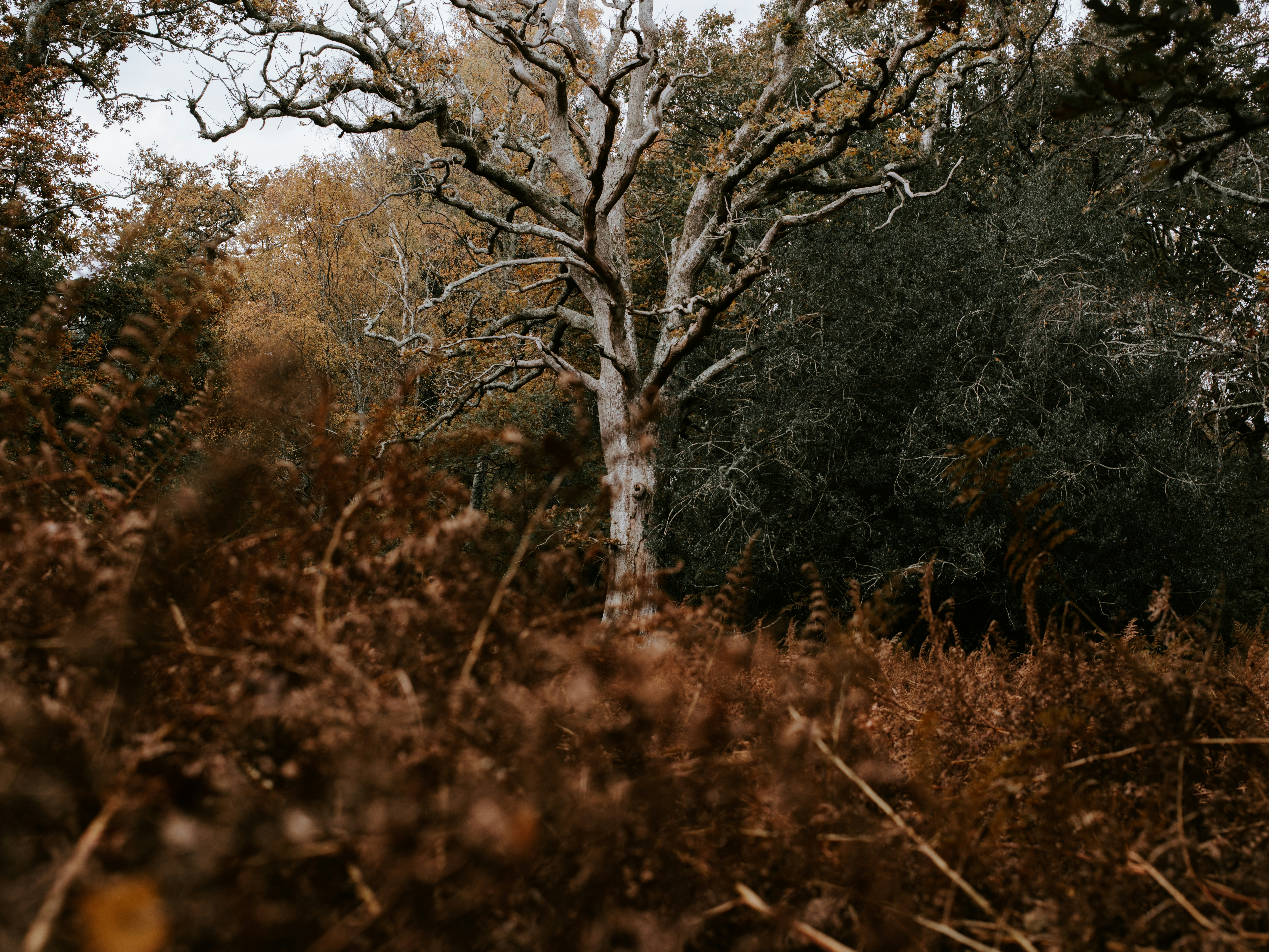 Photo by anniespratt