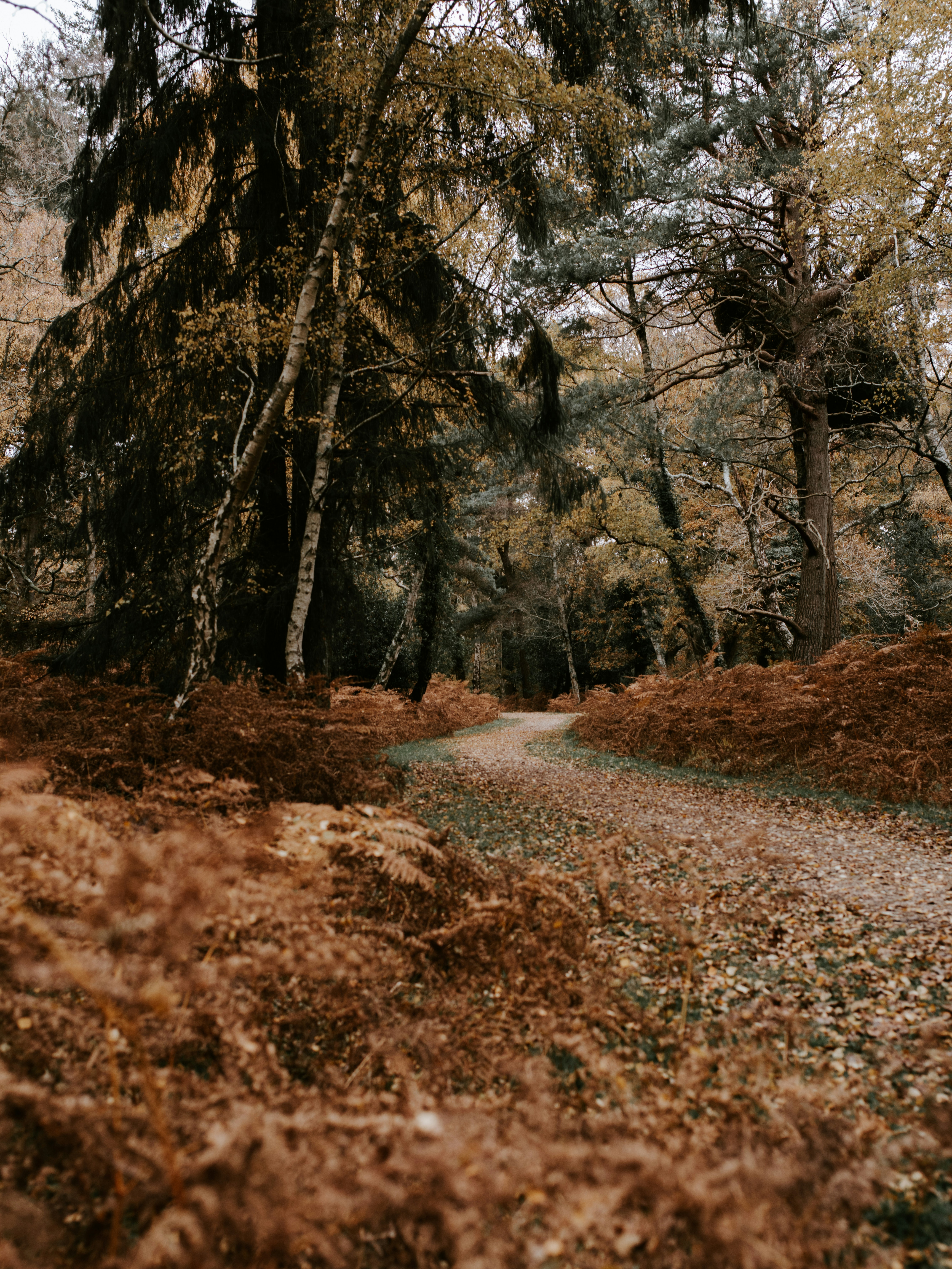 Photo by anniespratt