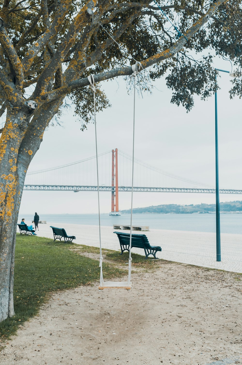 man sitting on bench