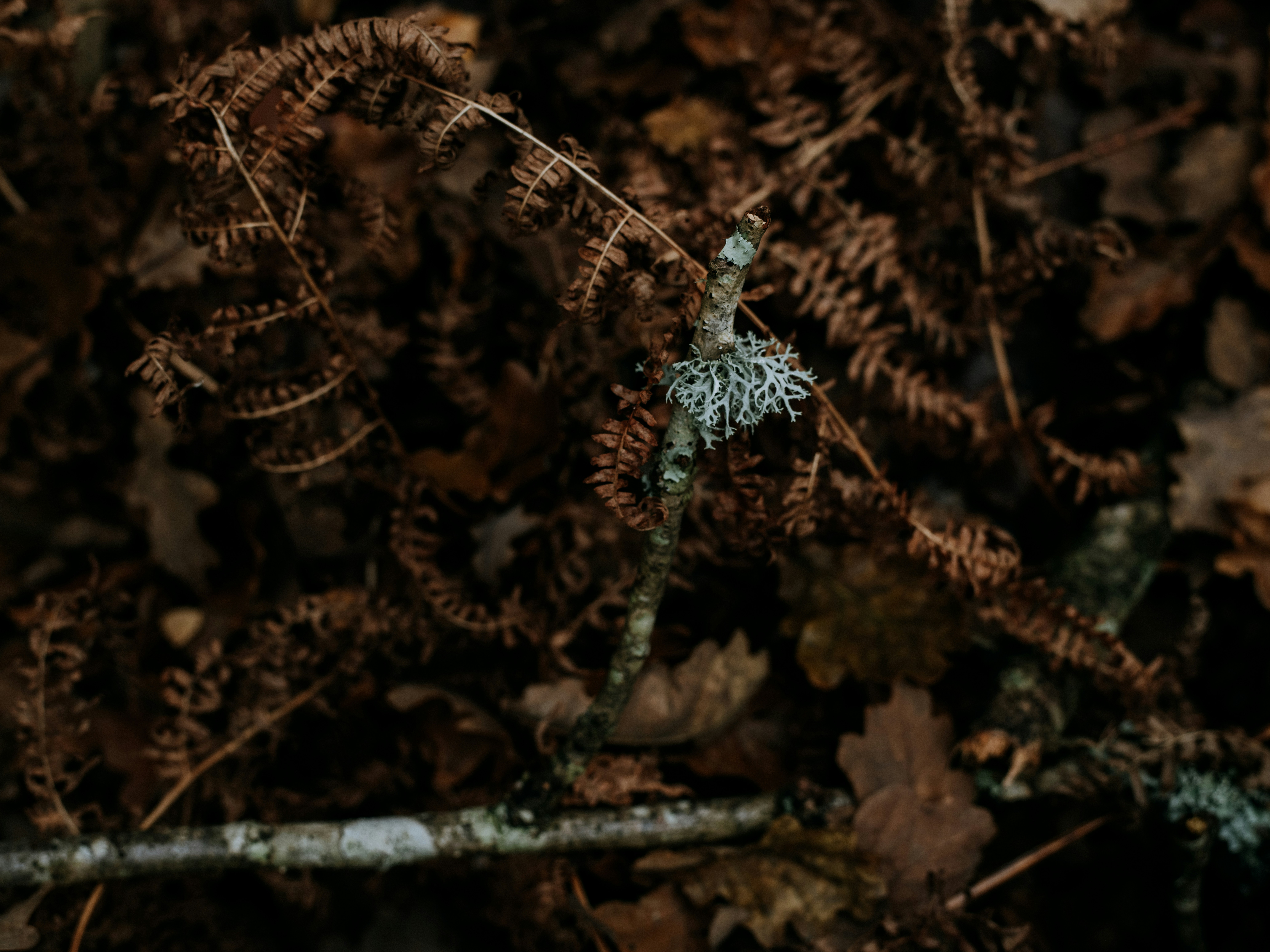 Photo by anniespratt