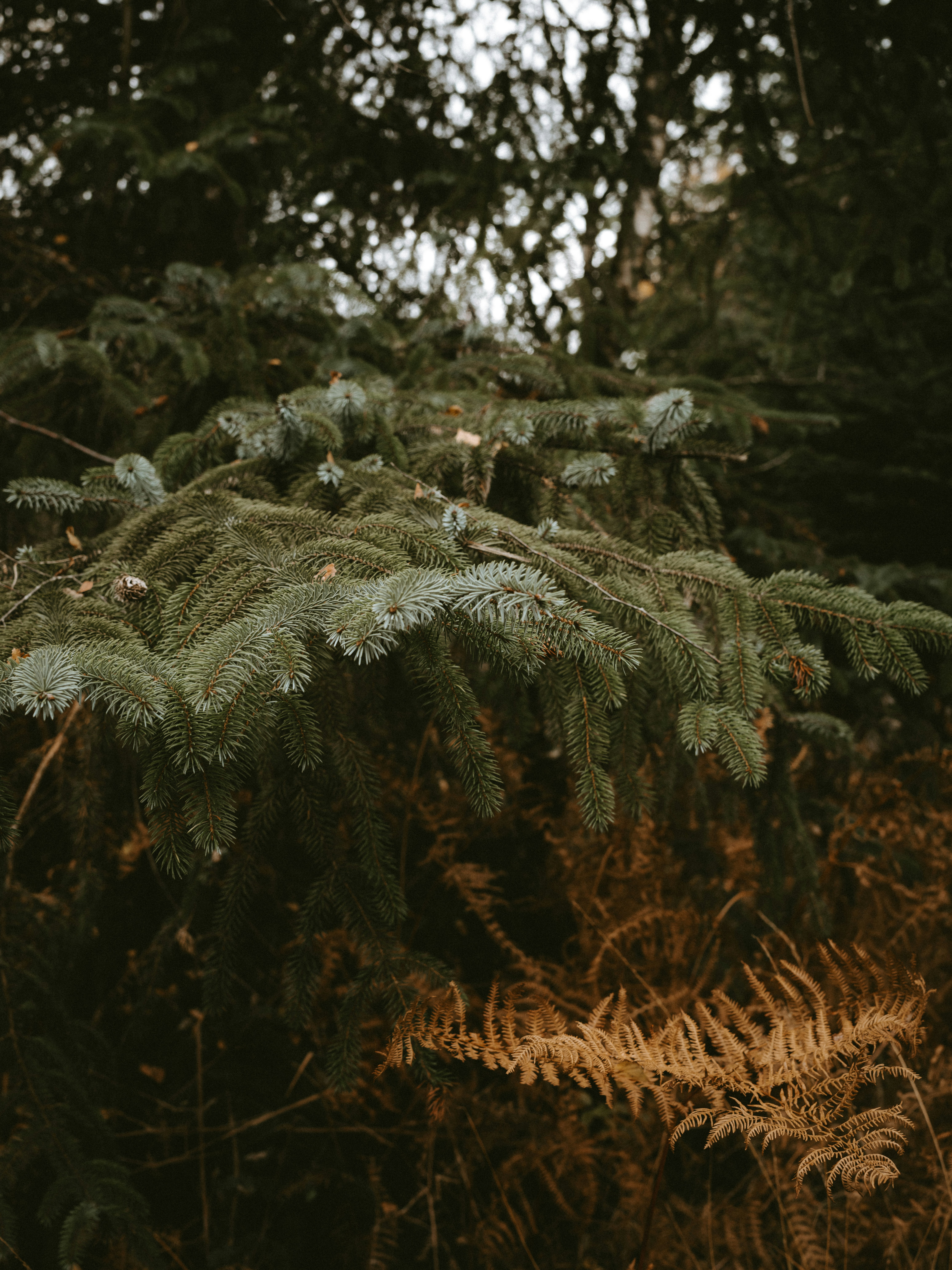 Photo by anniespratt