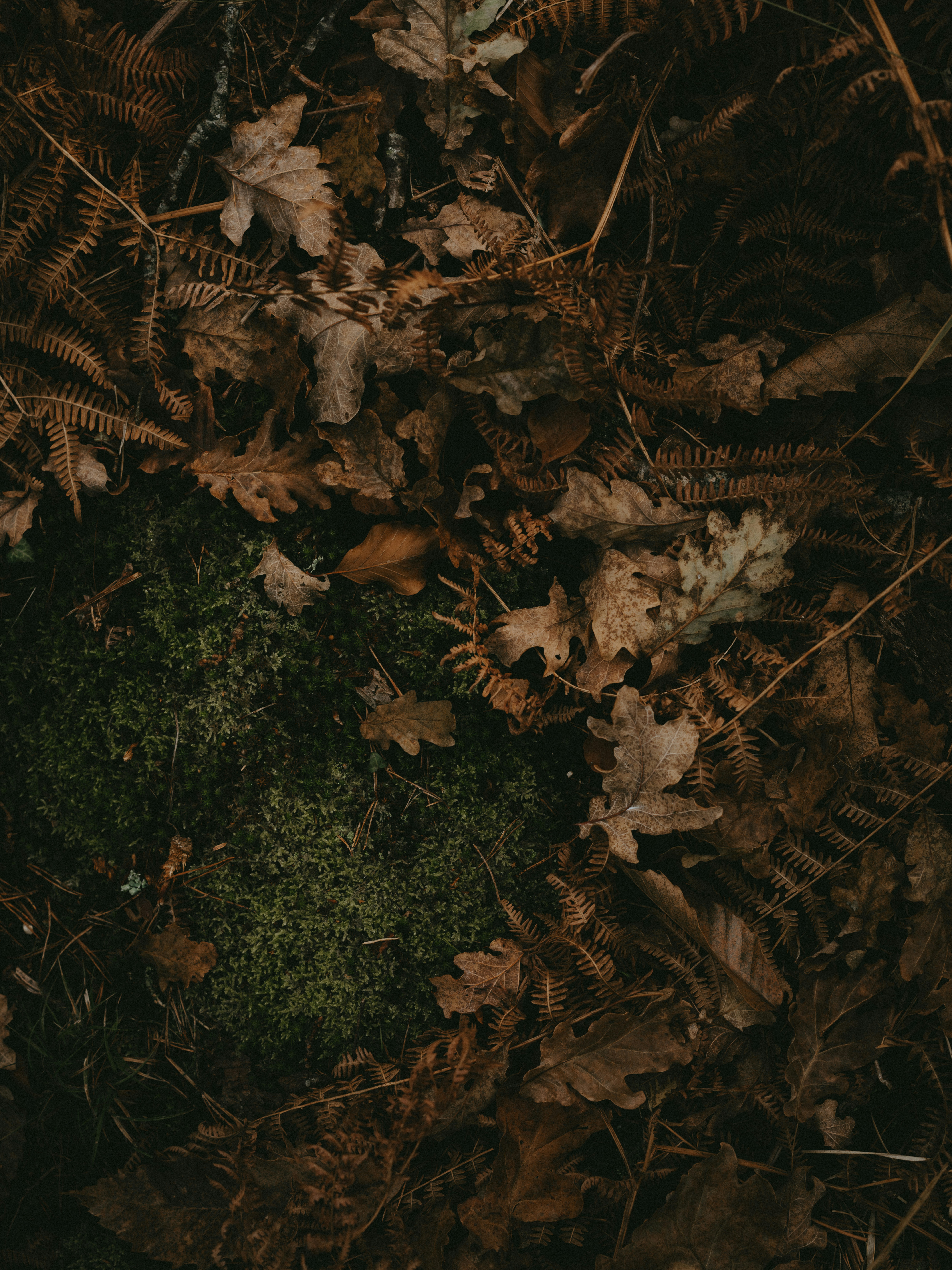 Photo by anniespratt