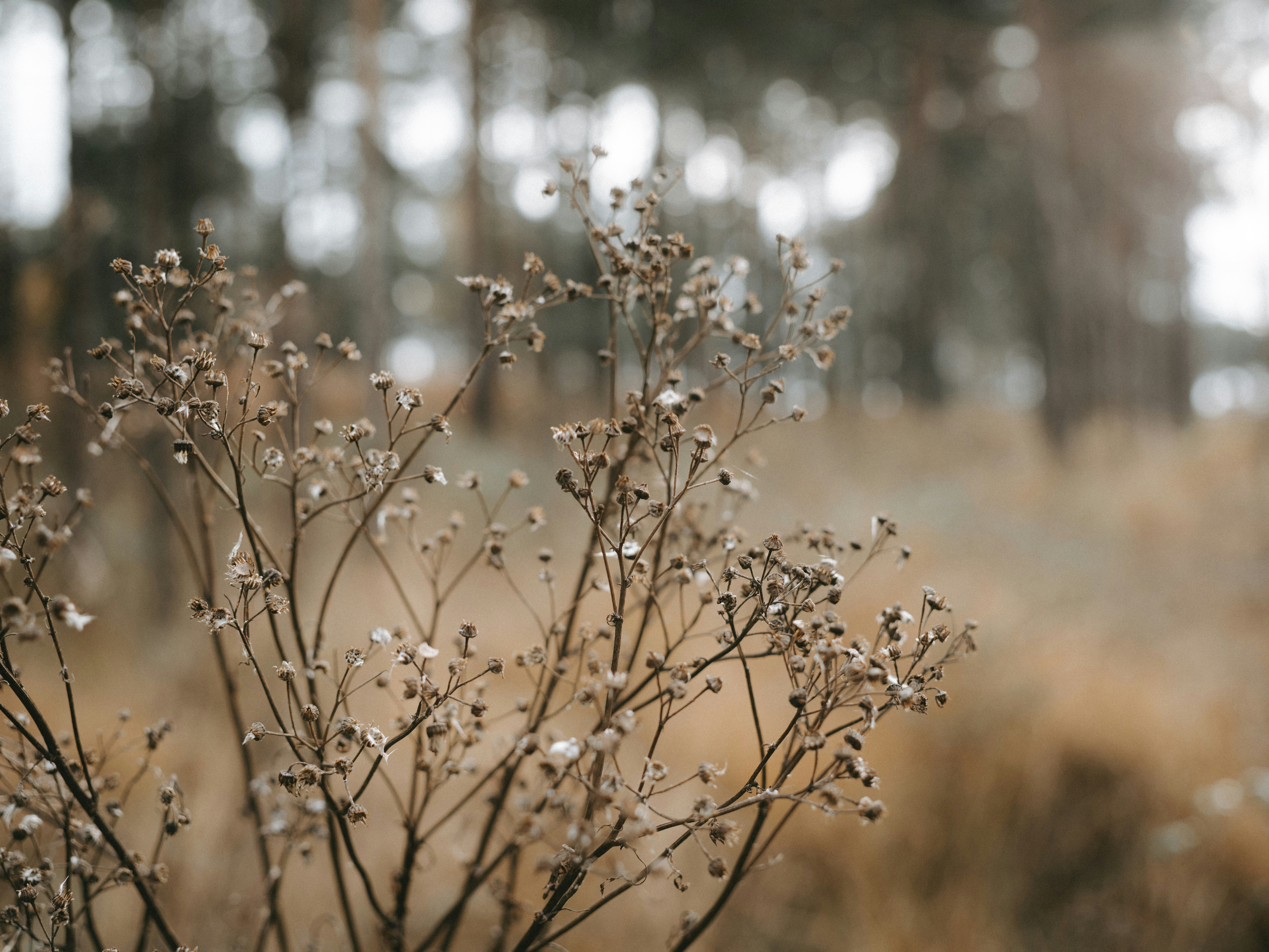 Photo by anniespratt