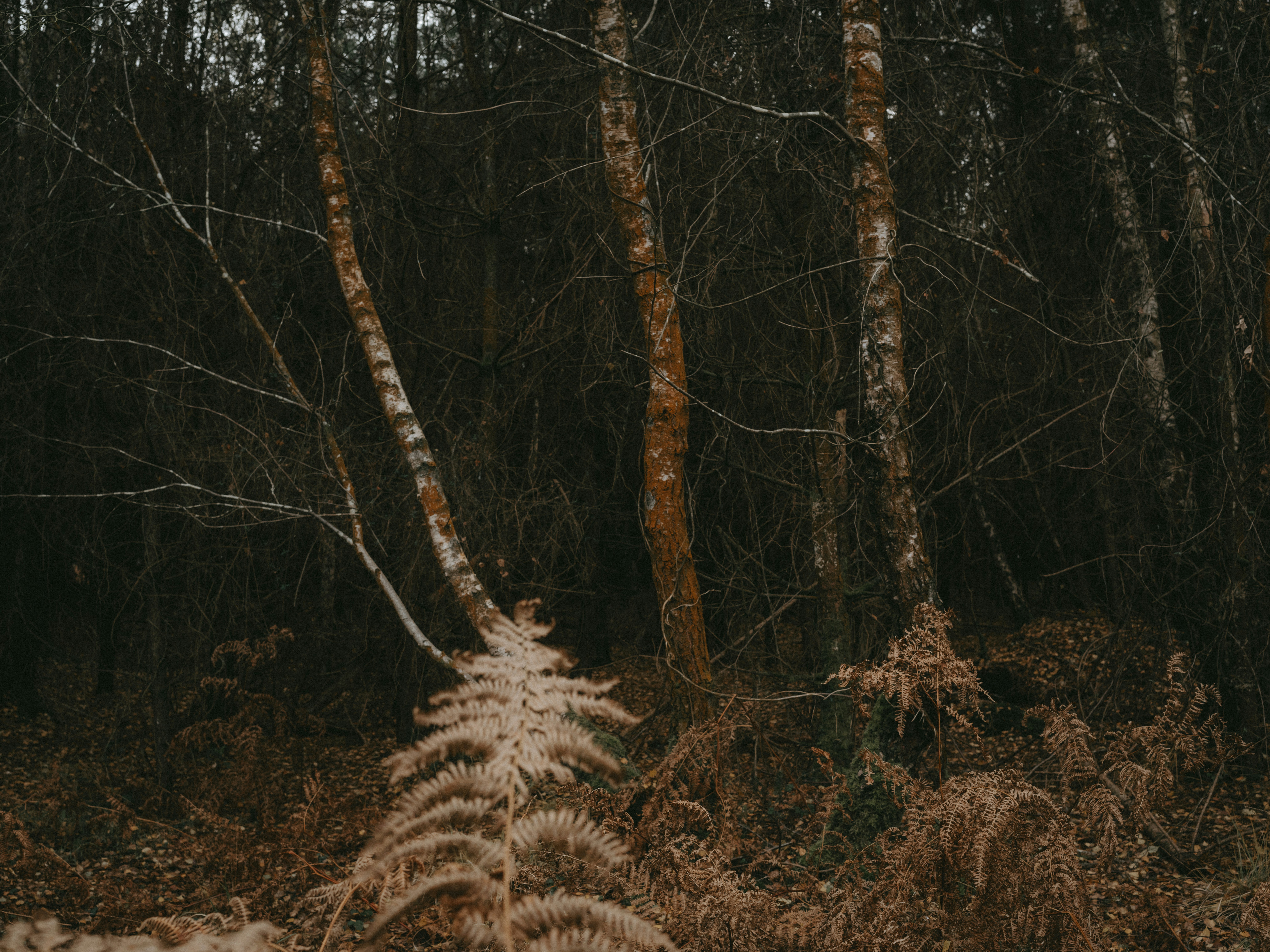 Photo by anniespratt