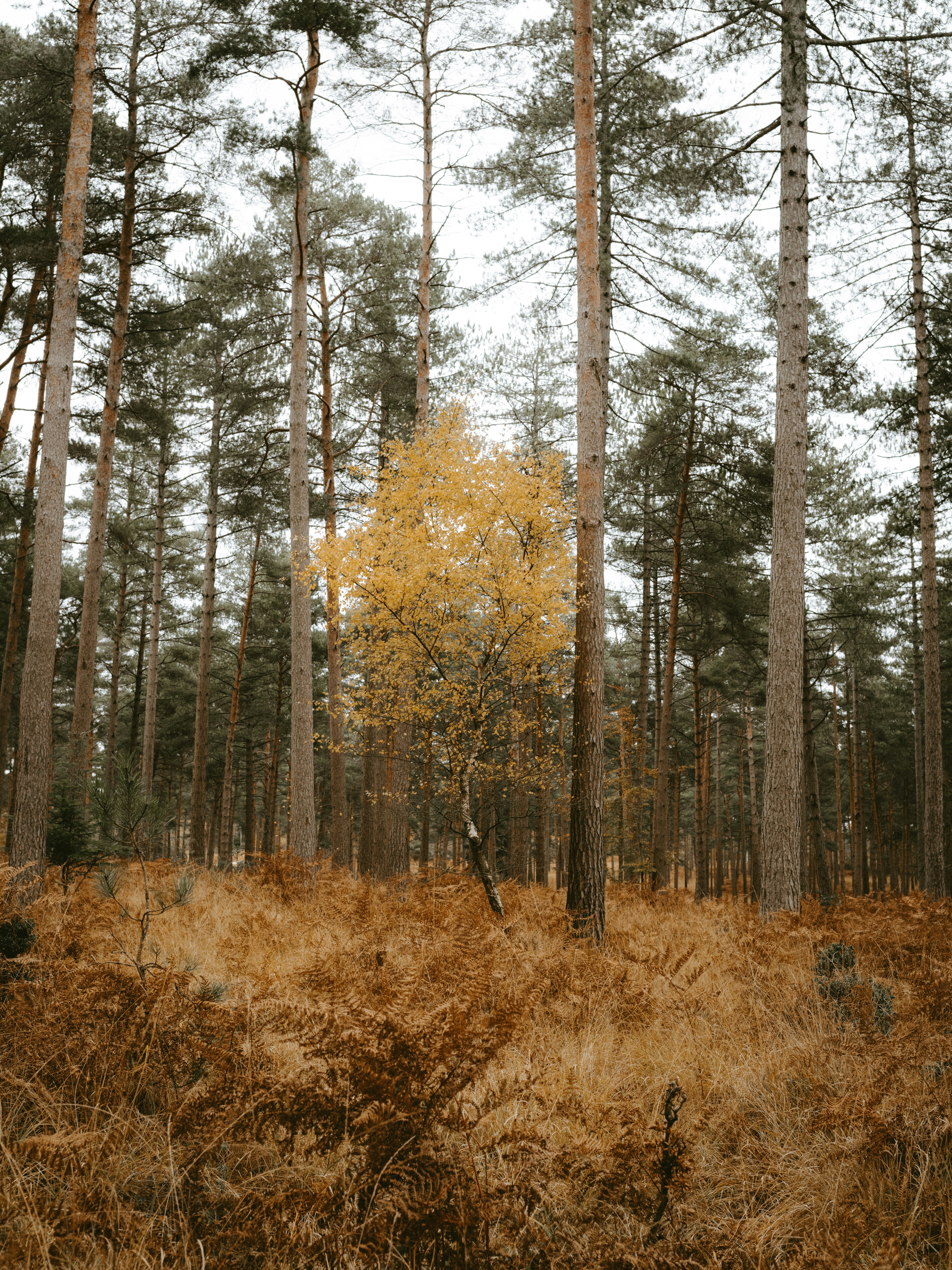 Photo by anniespratt