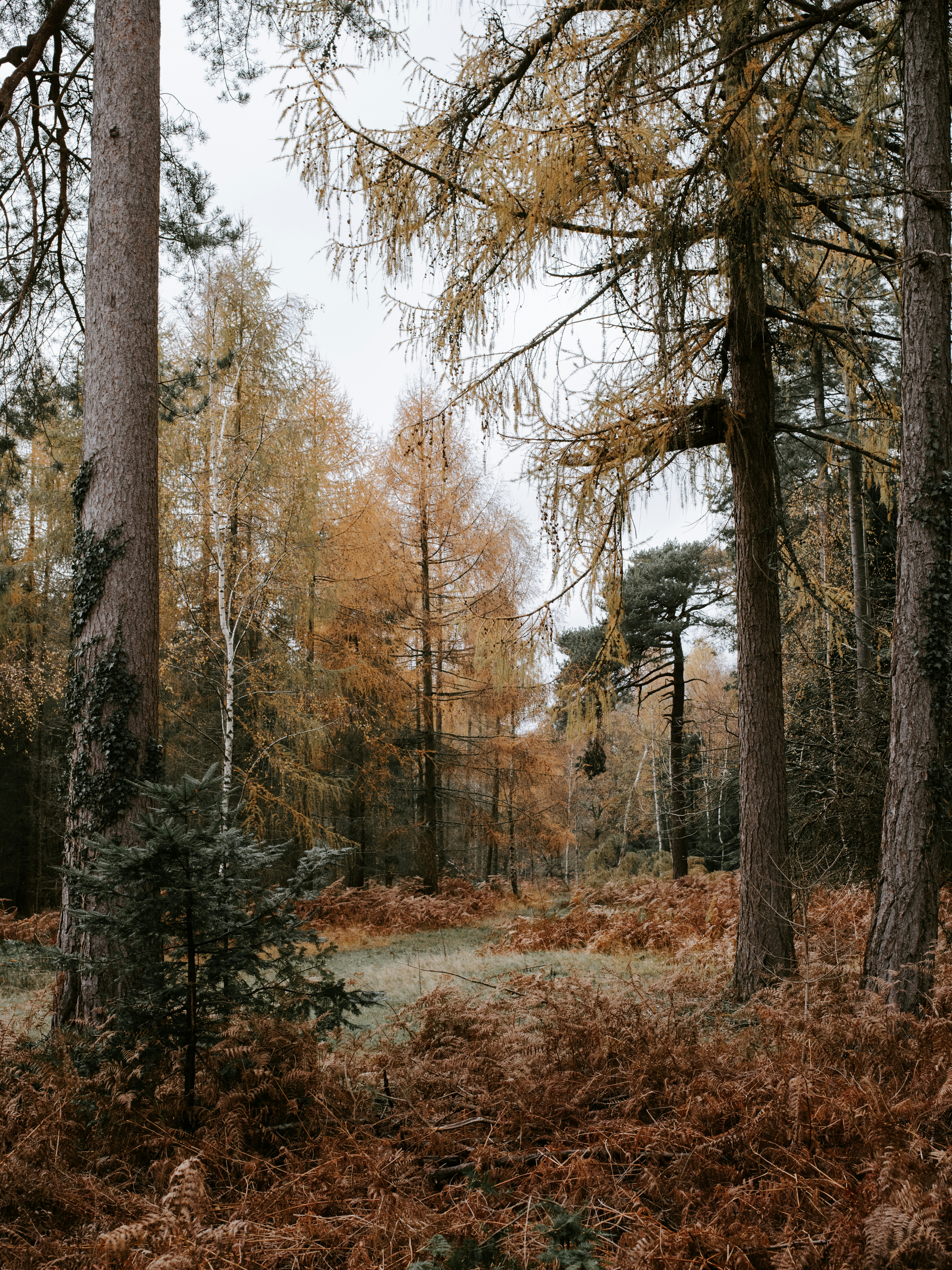 Photo by anniespratt