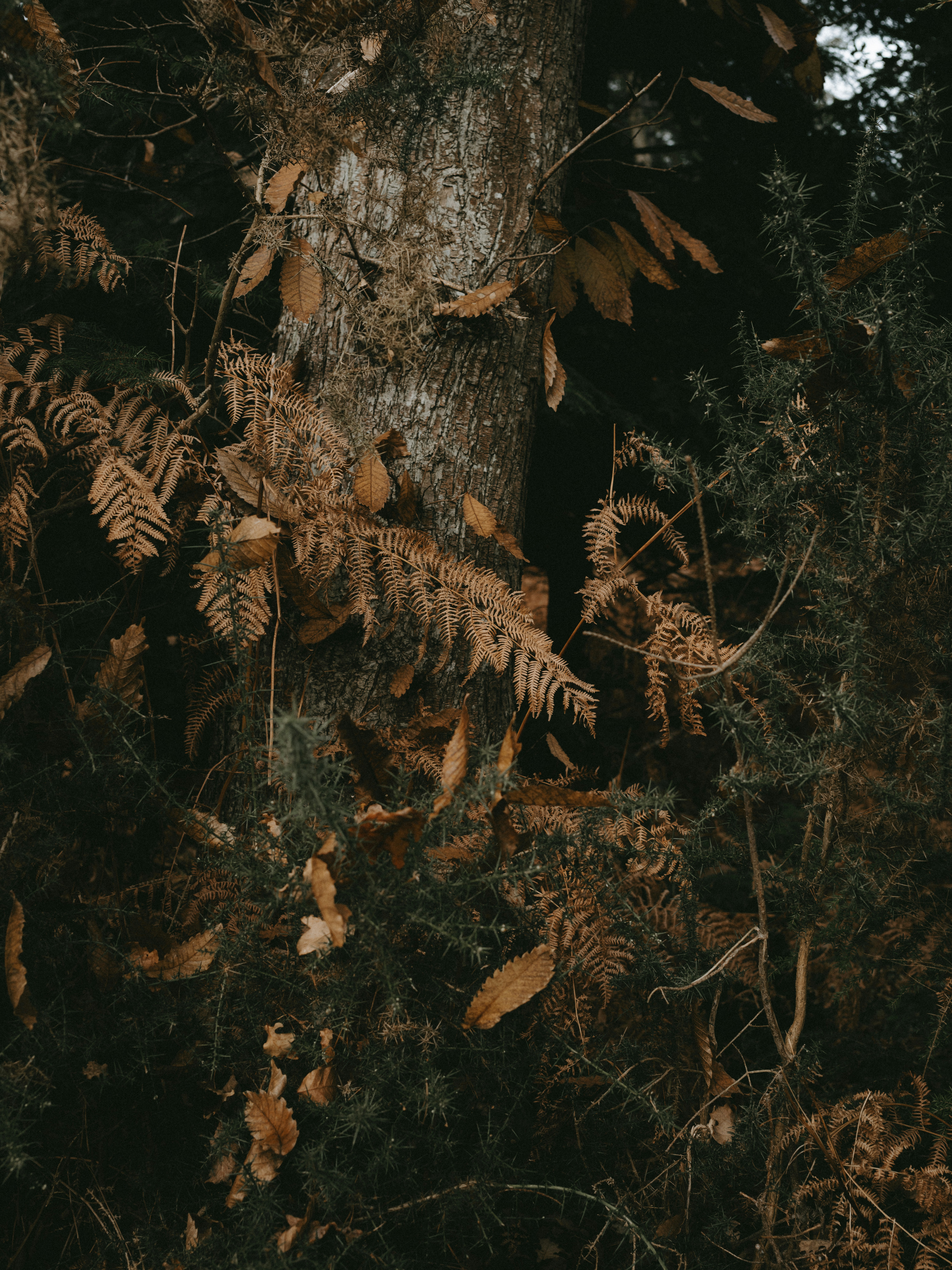 Photo by anniespratt