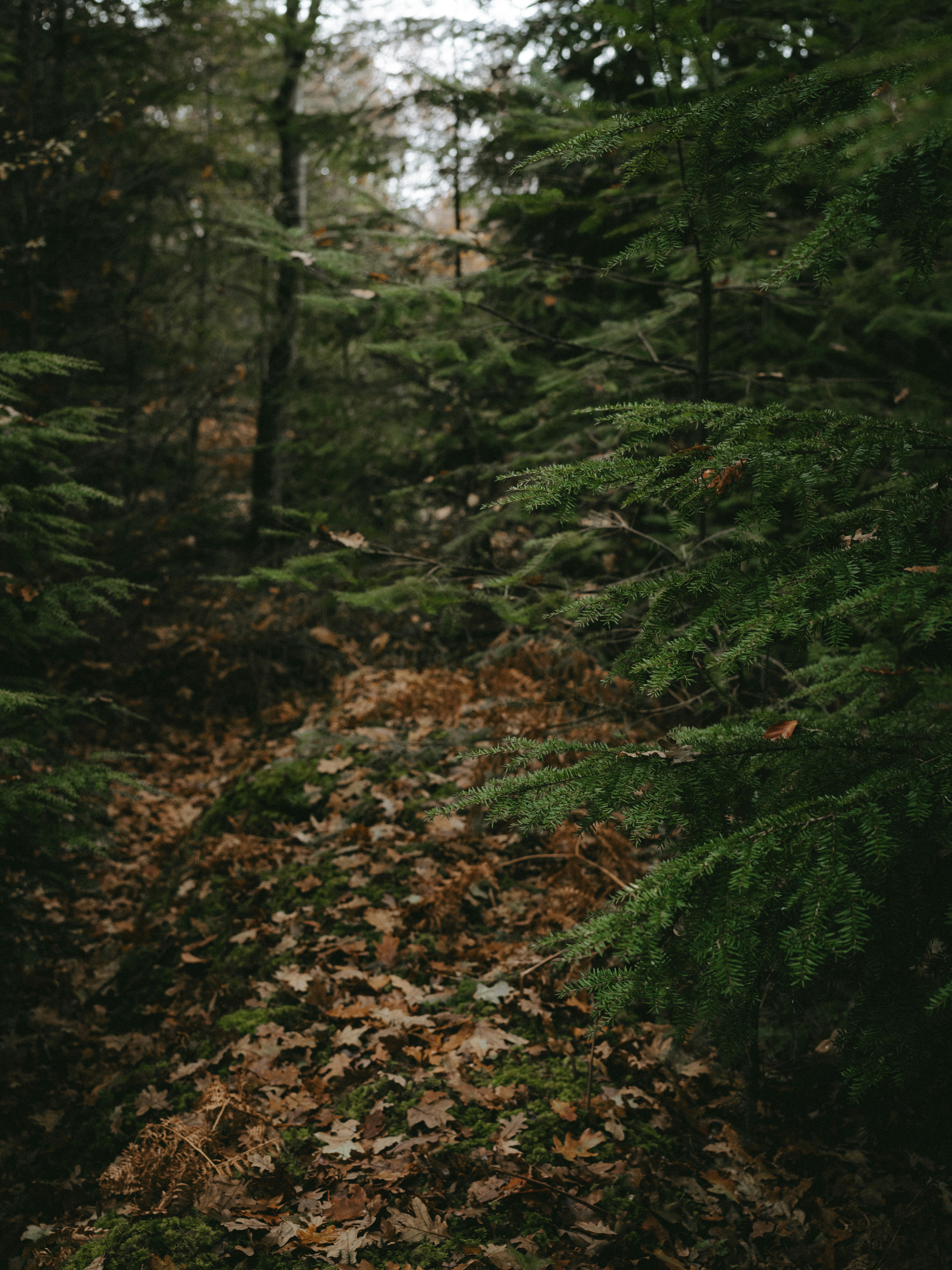 Photo by anniespratt