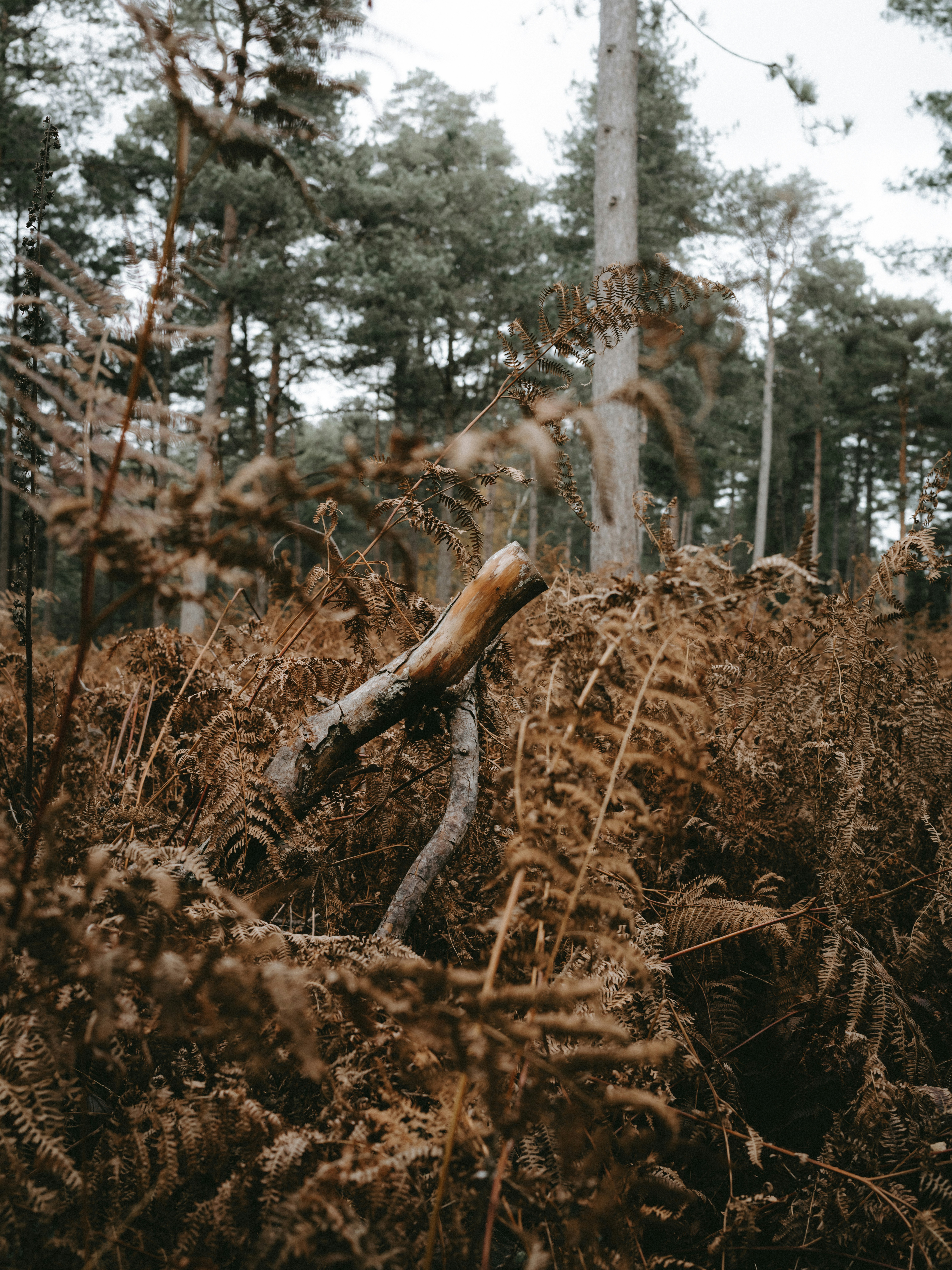 Photo by anniespratt