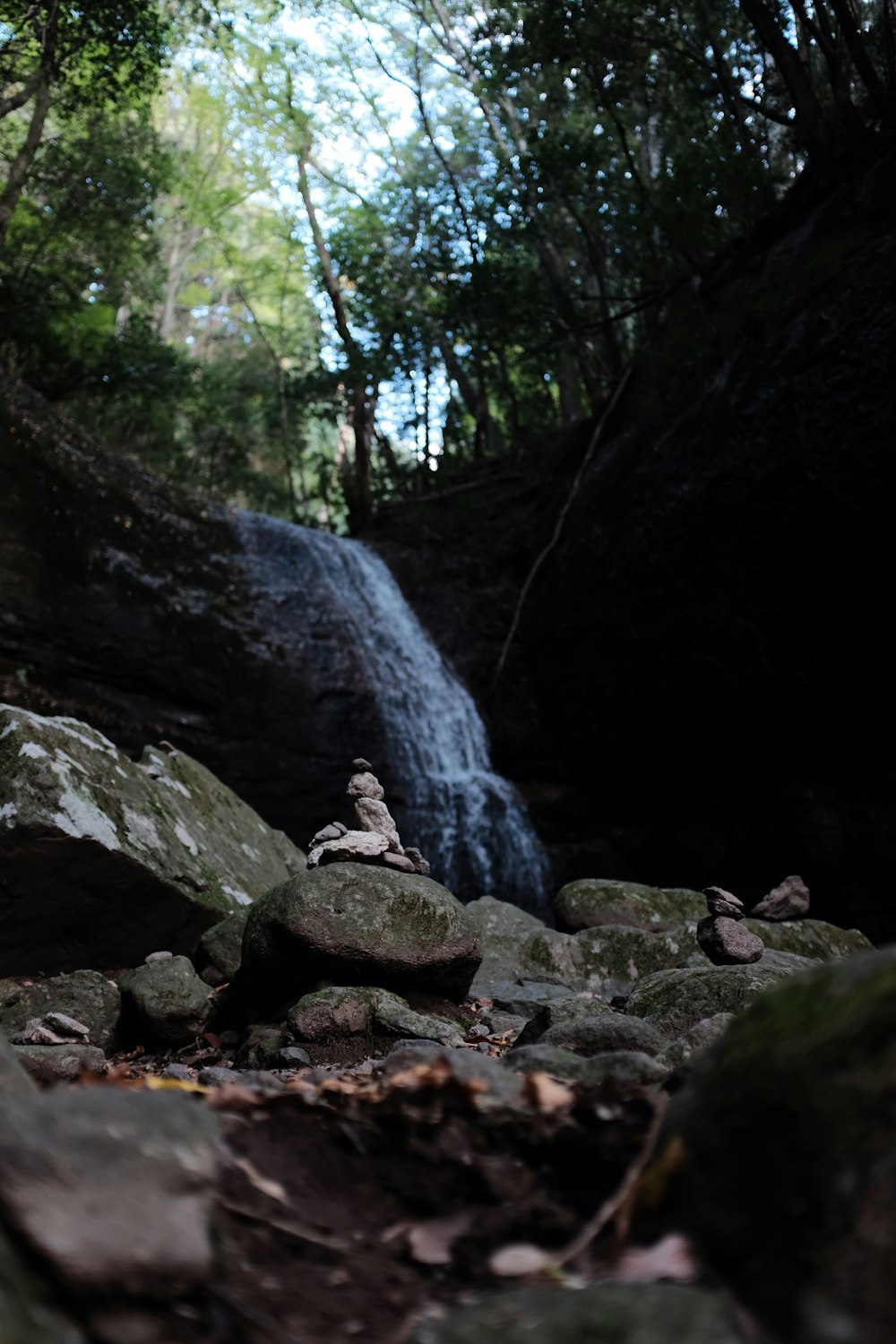 waterfalls surrounded by trees