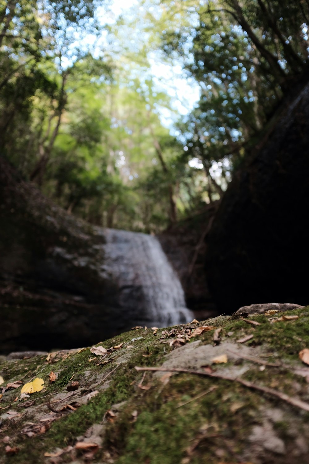 selective focus photography of waterfalls