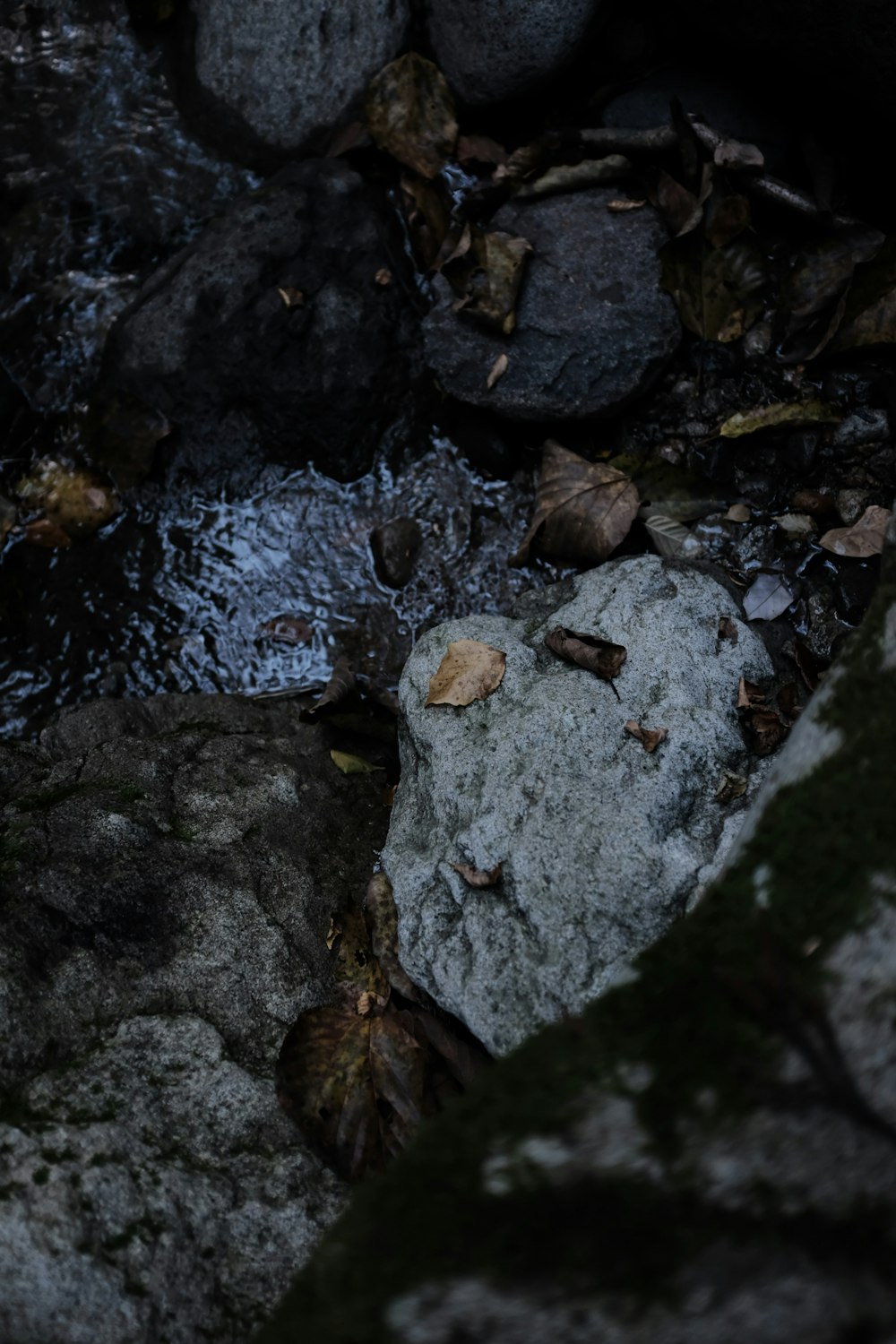 Piedra gris en el arroyo