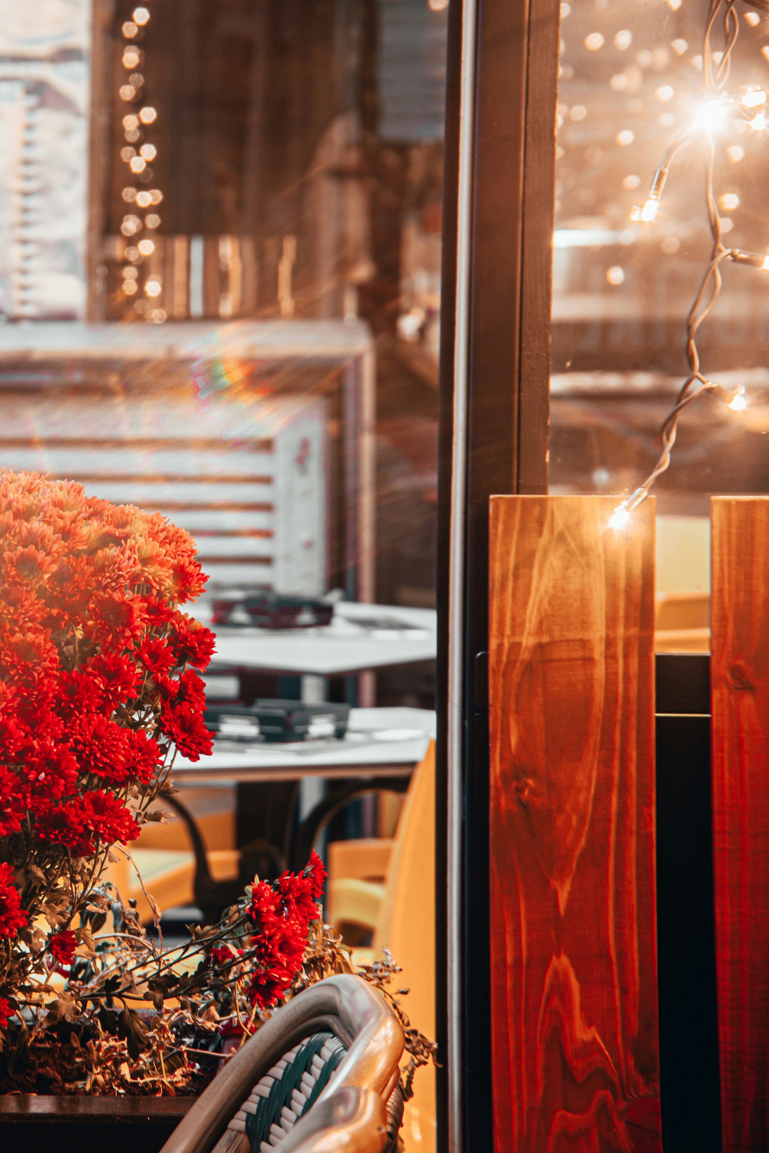 Photo by thewanderinggenk