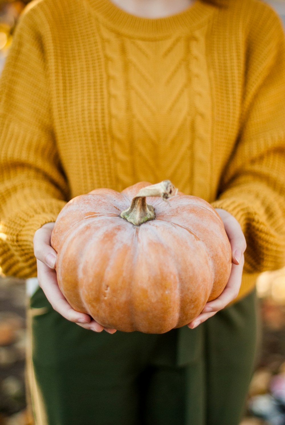 woman in brown sweater holding pumpkin