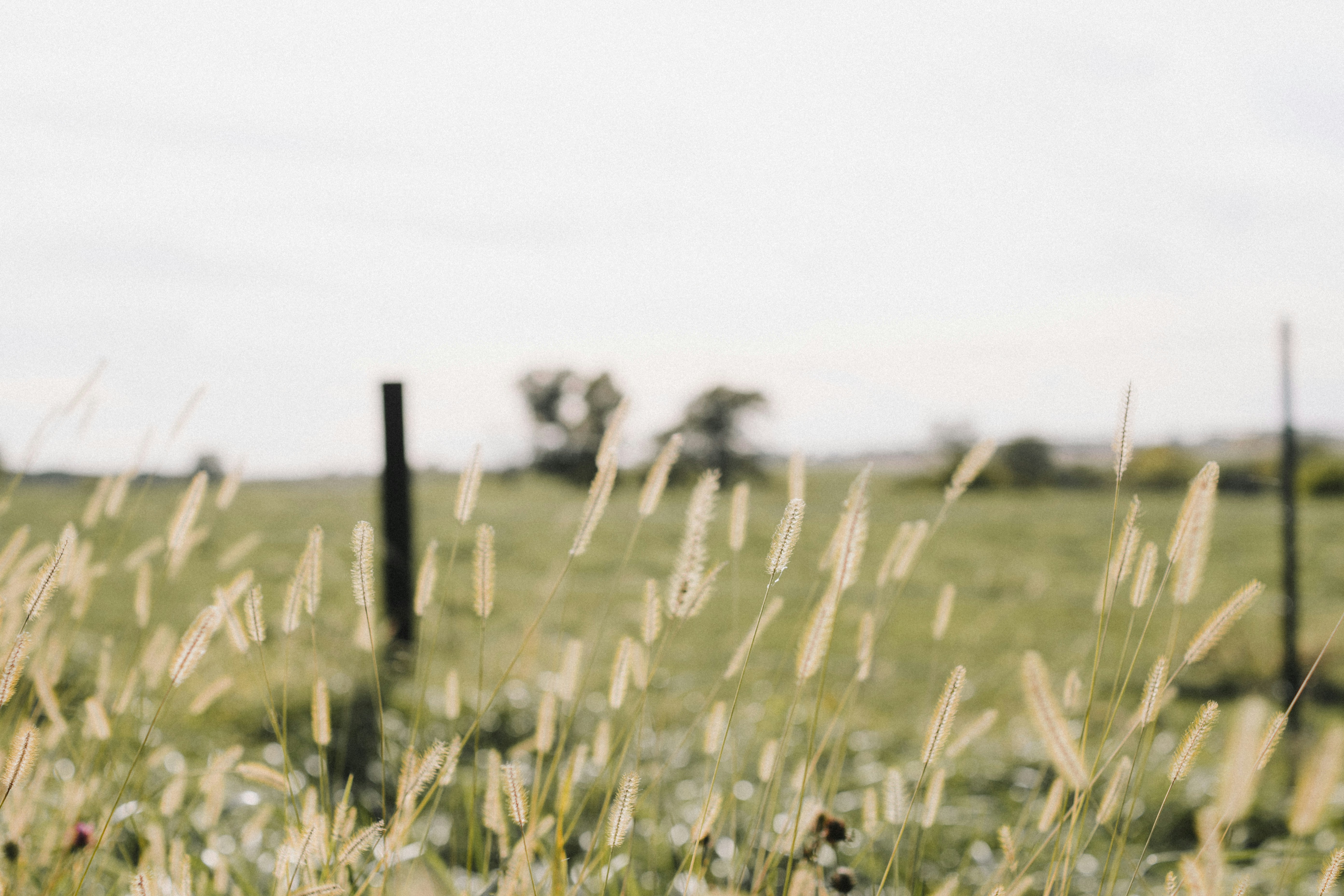 Photo by kellysikkema