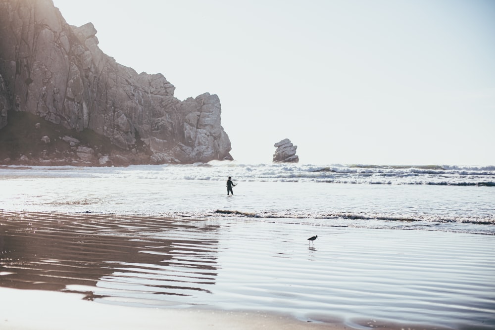 person walking on beach