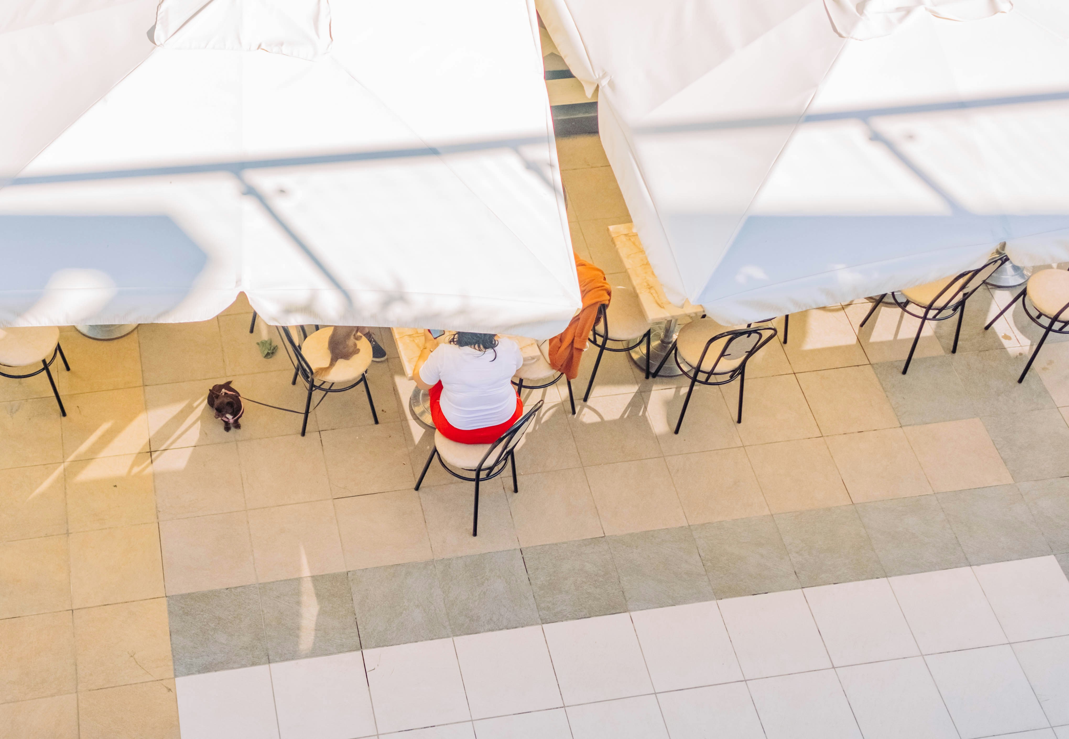 Photo by igorstarkoff