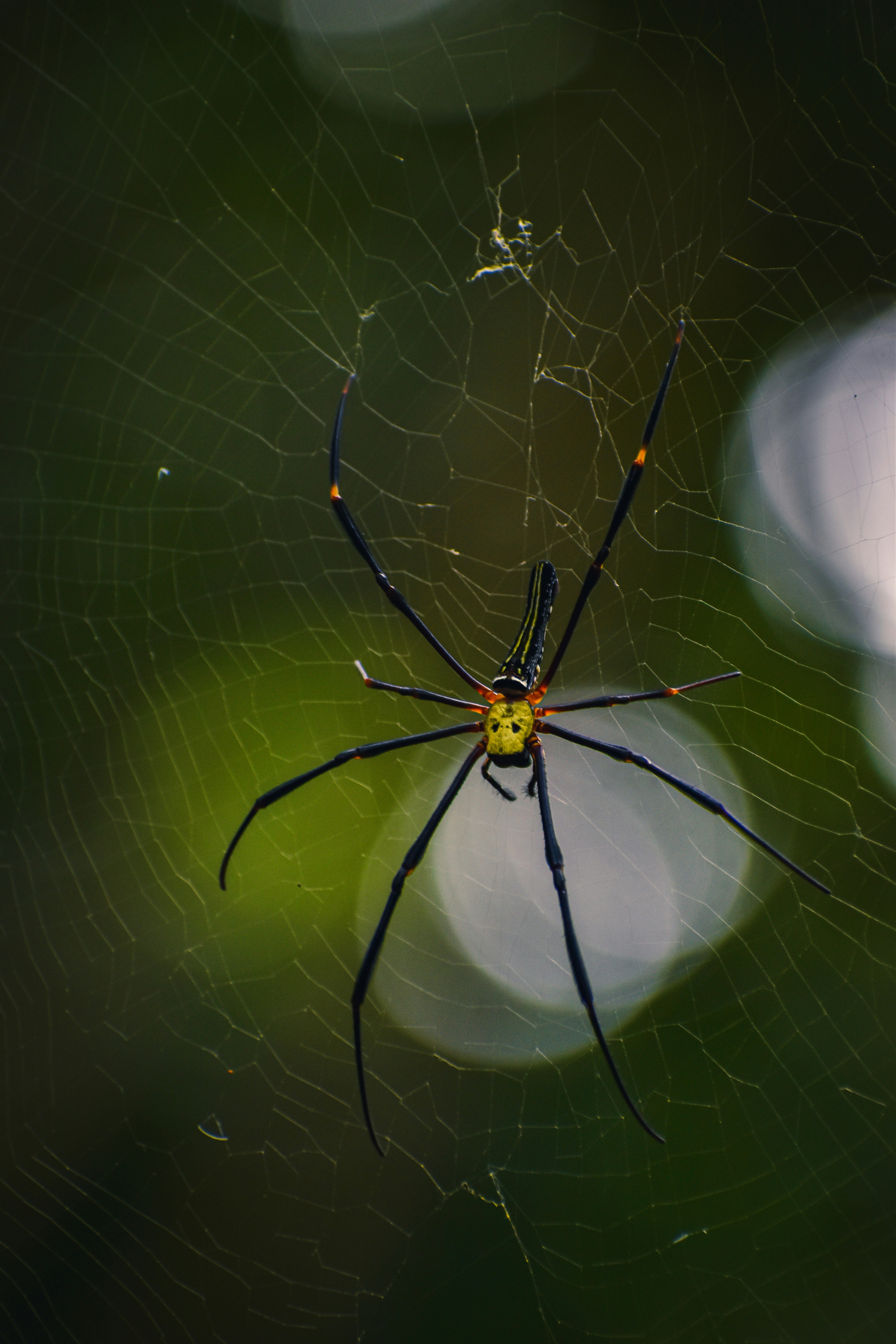 Photo by travel_with_shekar