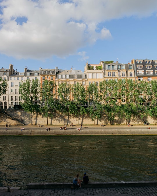 trees beside body of water in Sainte-Chapelle France