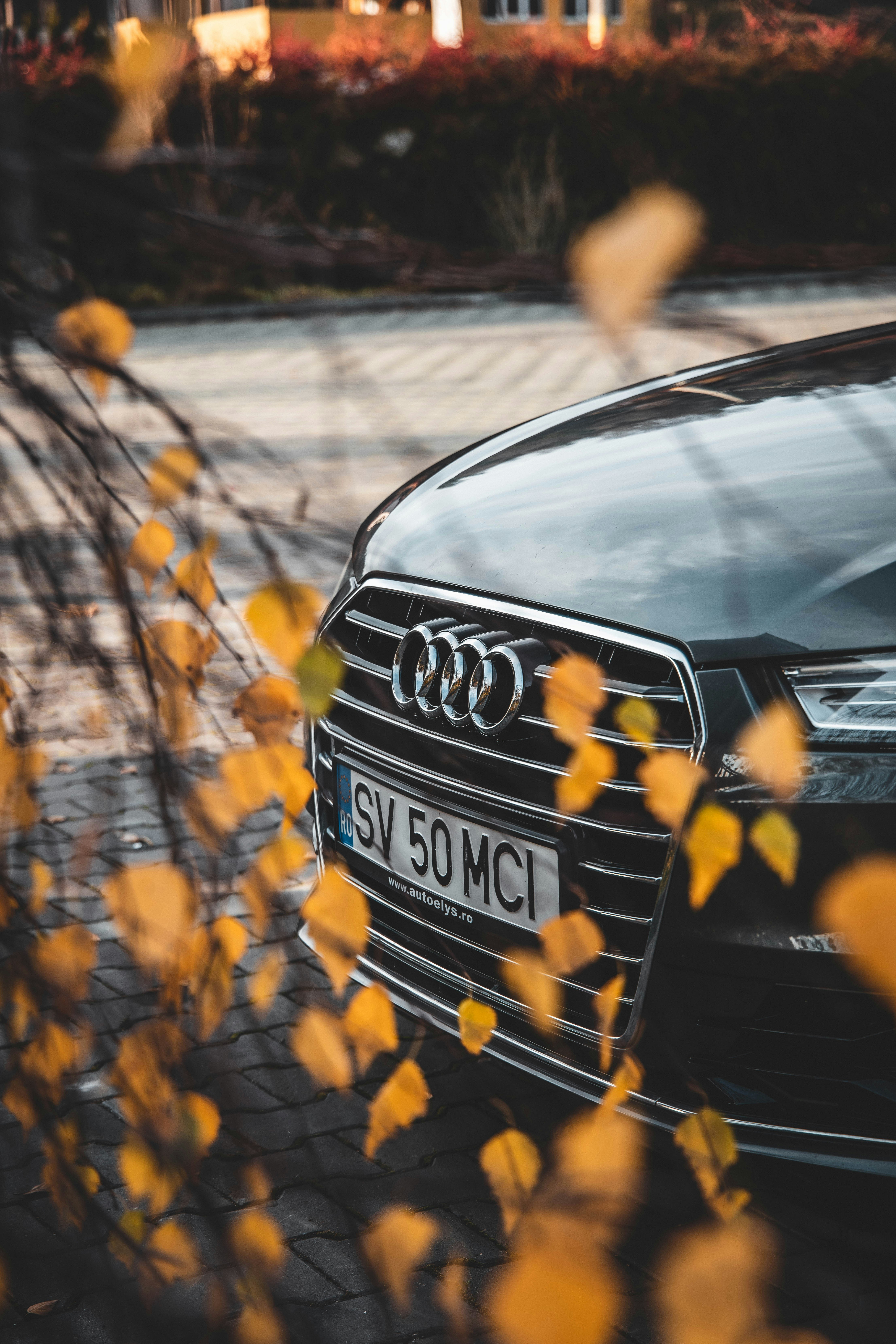 Photo by alextabusca