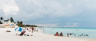 people on seashore during daytime