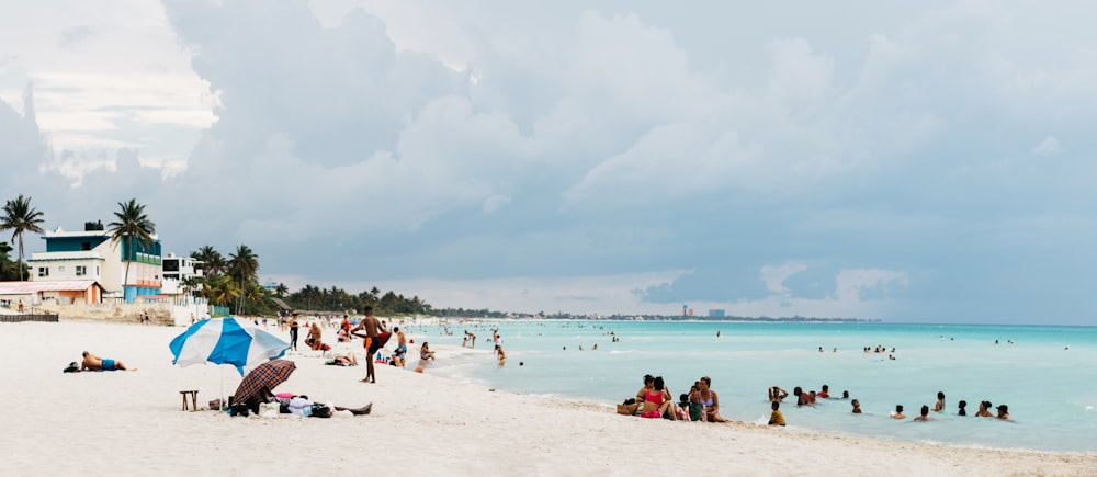 people on seashore during daytime