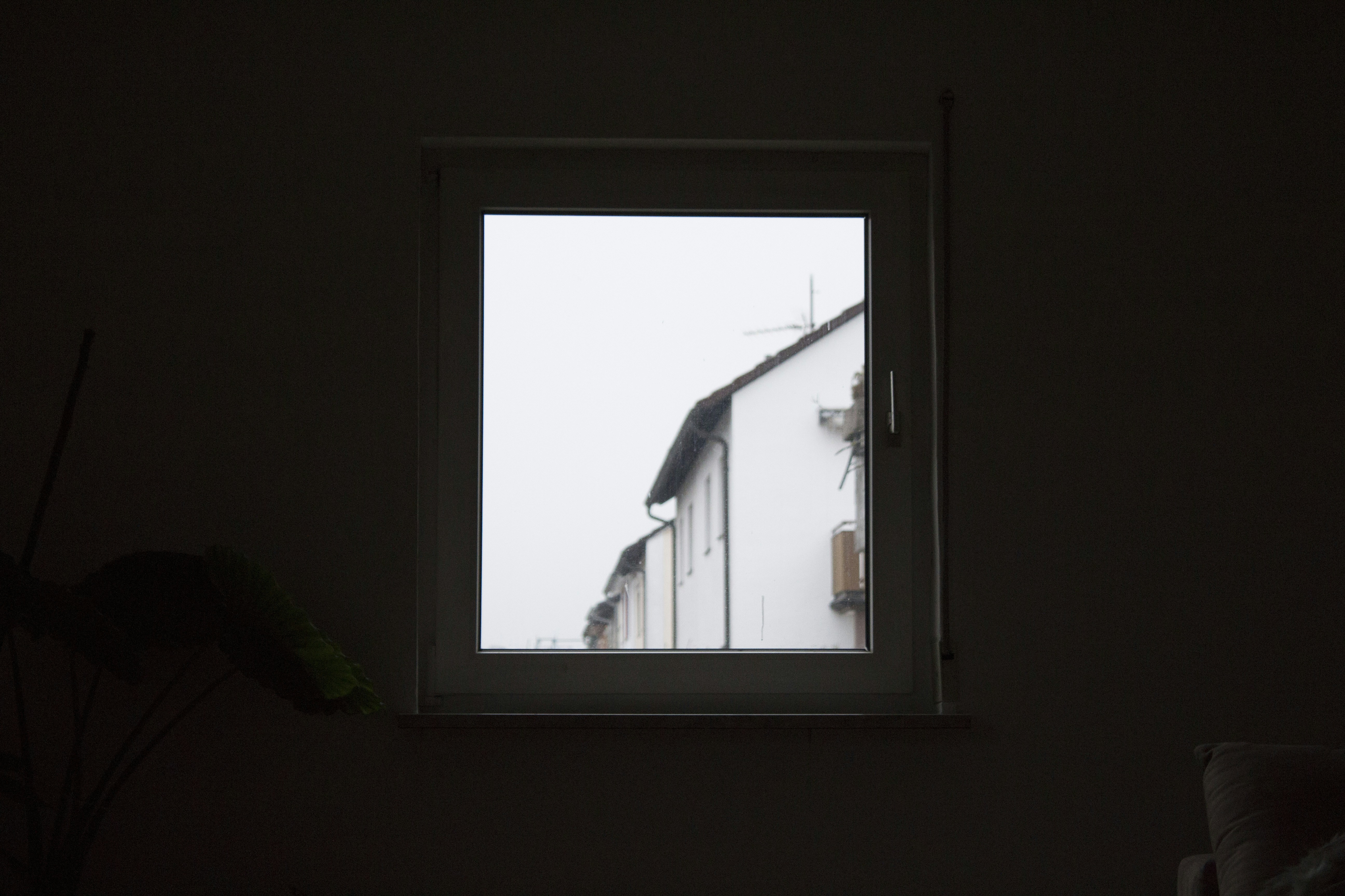 Photo by wackeltin_meem