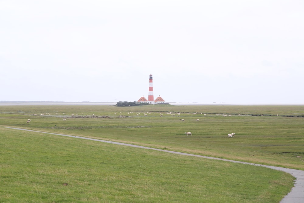 red and white lighthouse