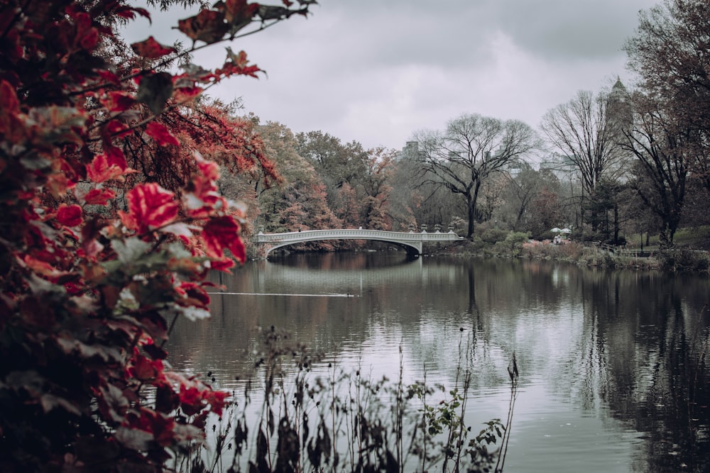 gray bridge