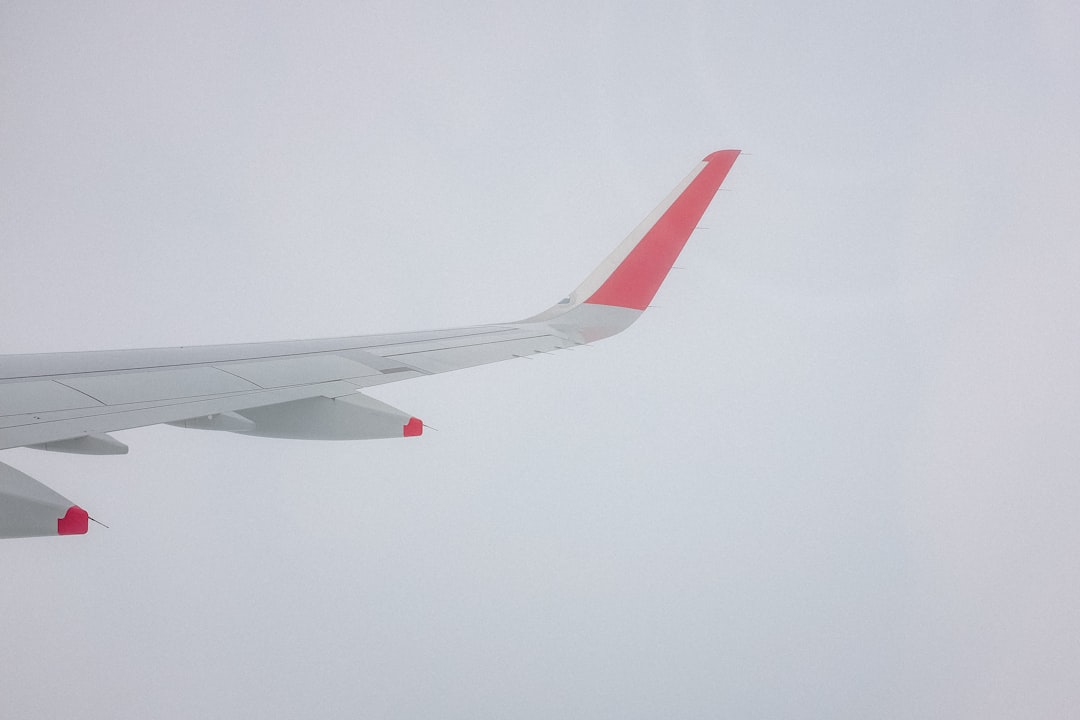 red and gray plane