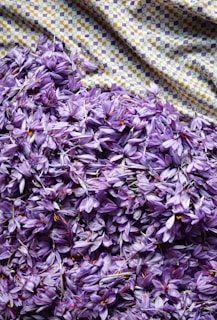 purple petaled flowers