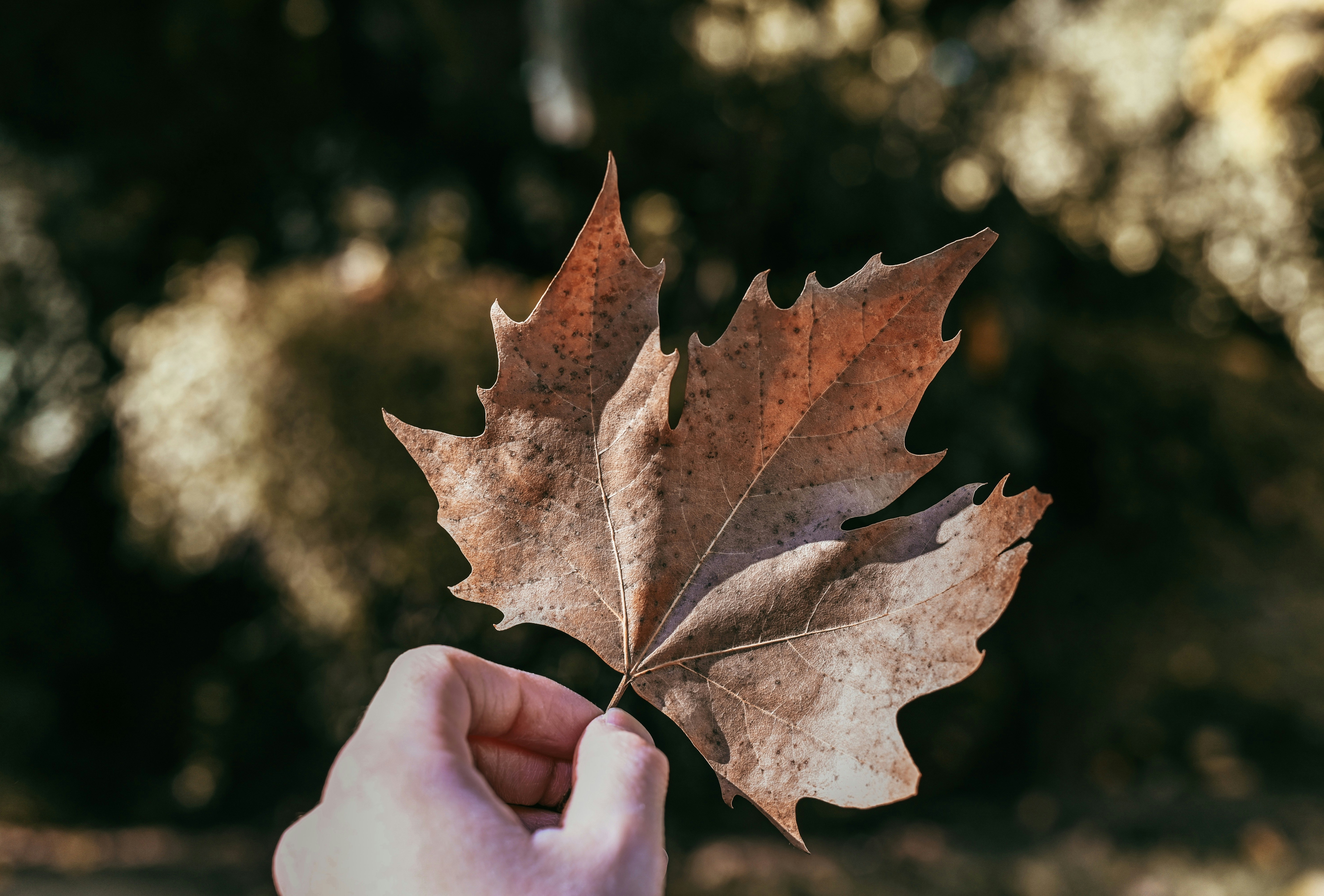 Photo by christopherstark