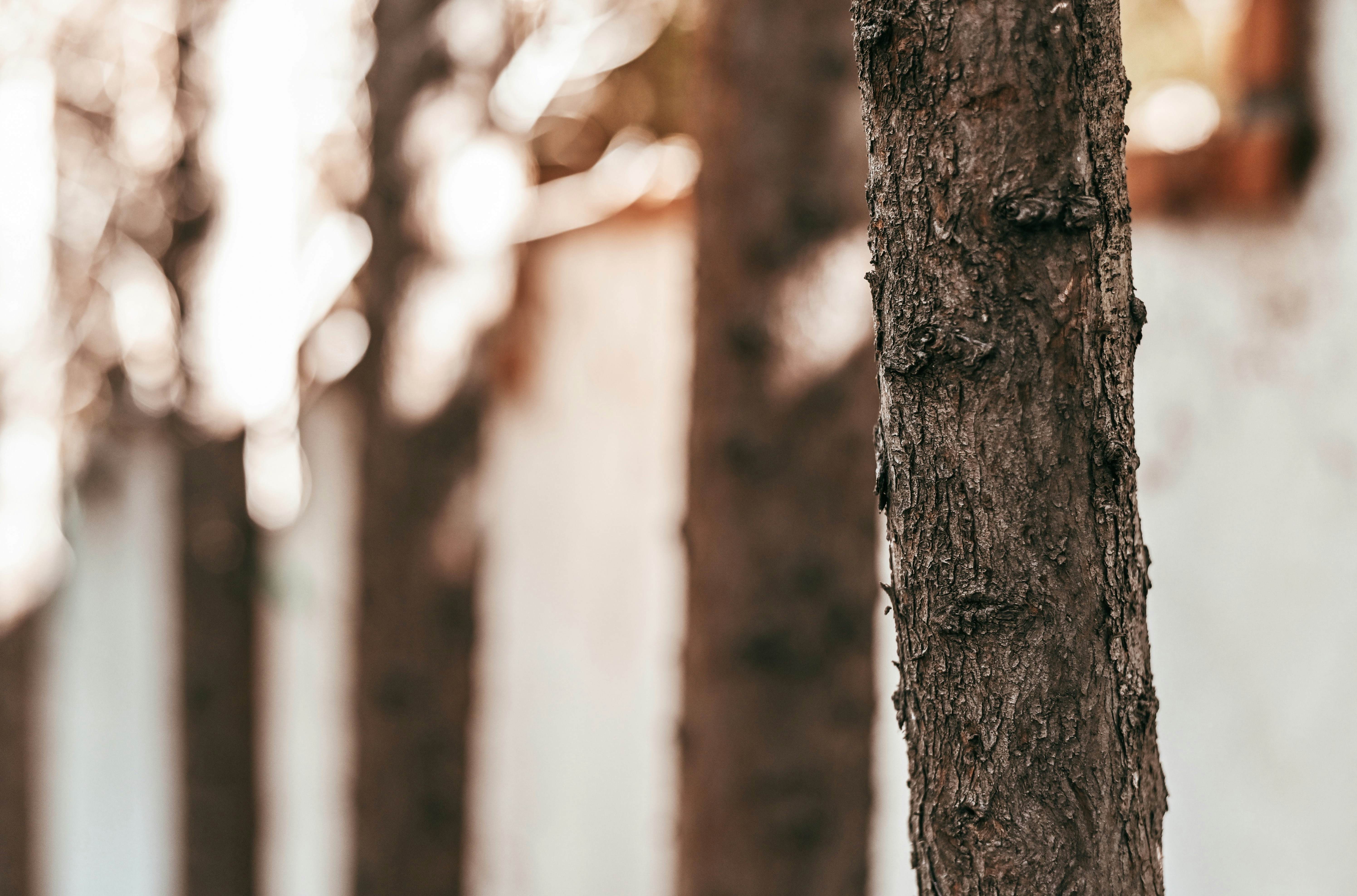 Photo by christopherstark