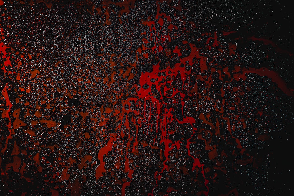 blood splat illustration