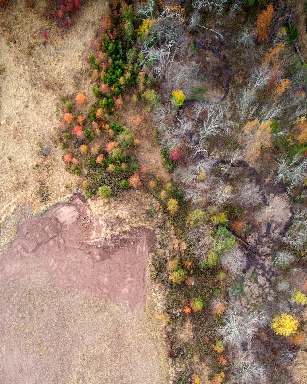 aerial photograph of hill and trees