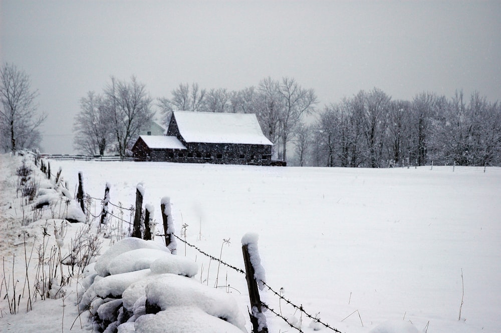 cabin in forest with snow