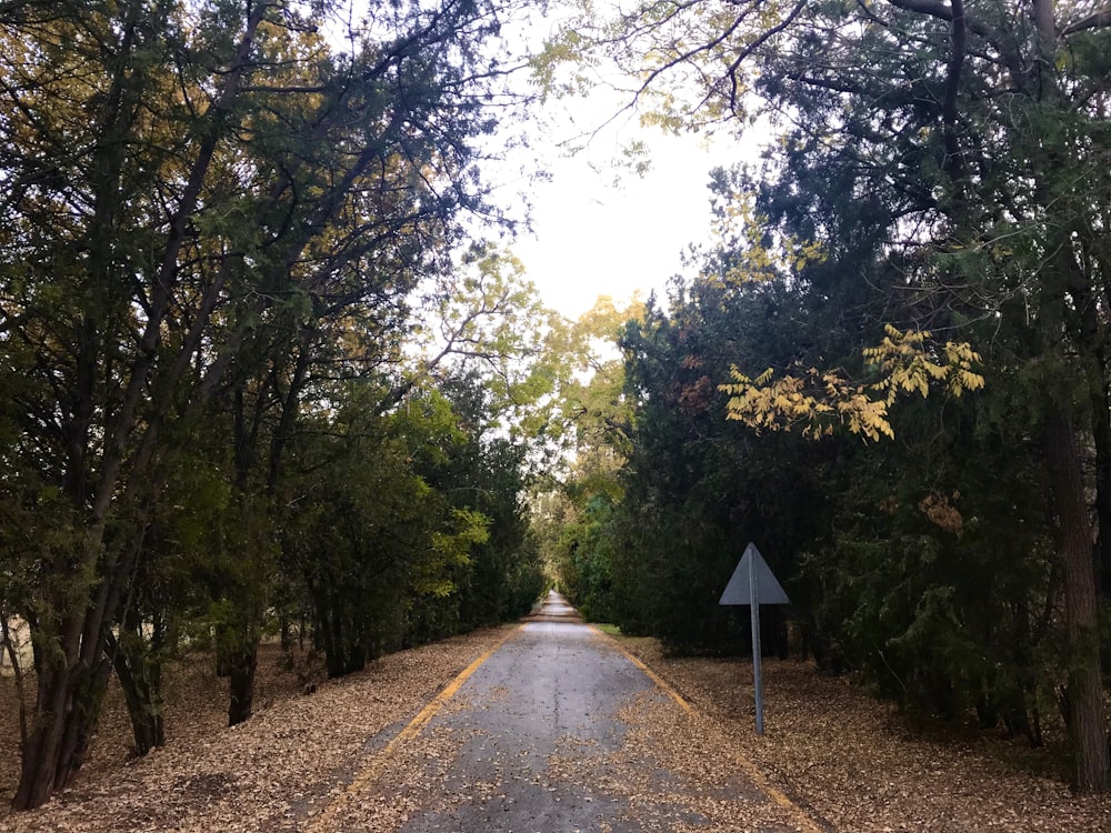 photography of empty road during daytime