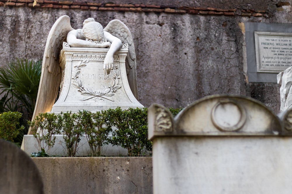 photography of lying angel statue