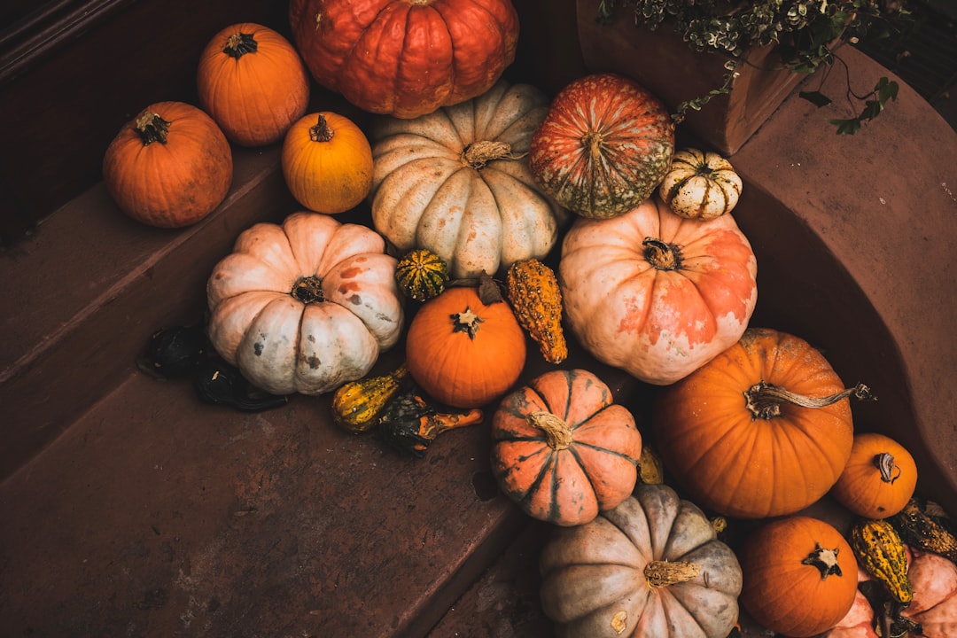 pile of pumpkins