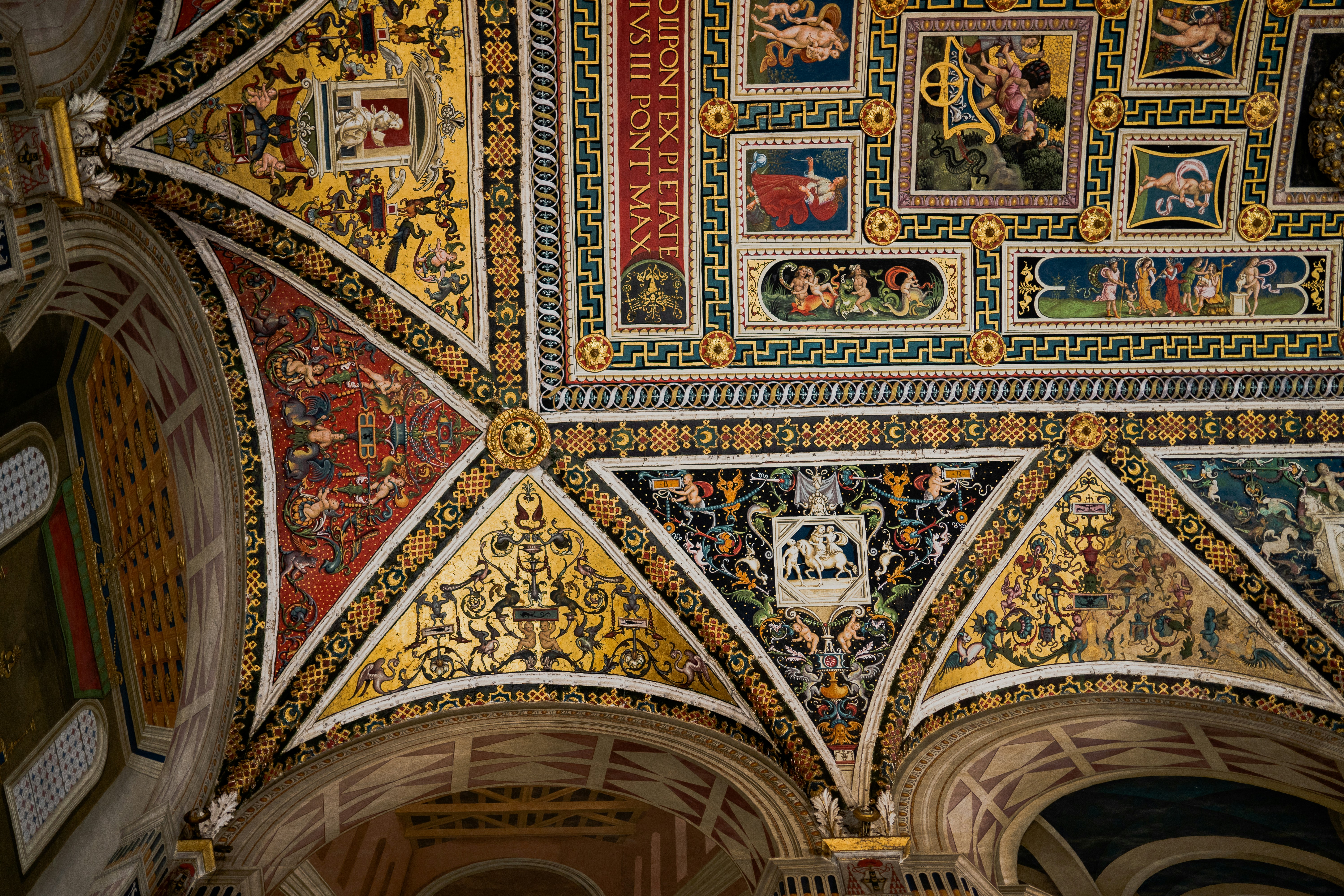 Photo by allisonheine