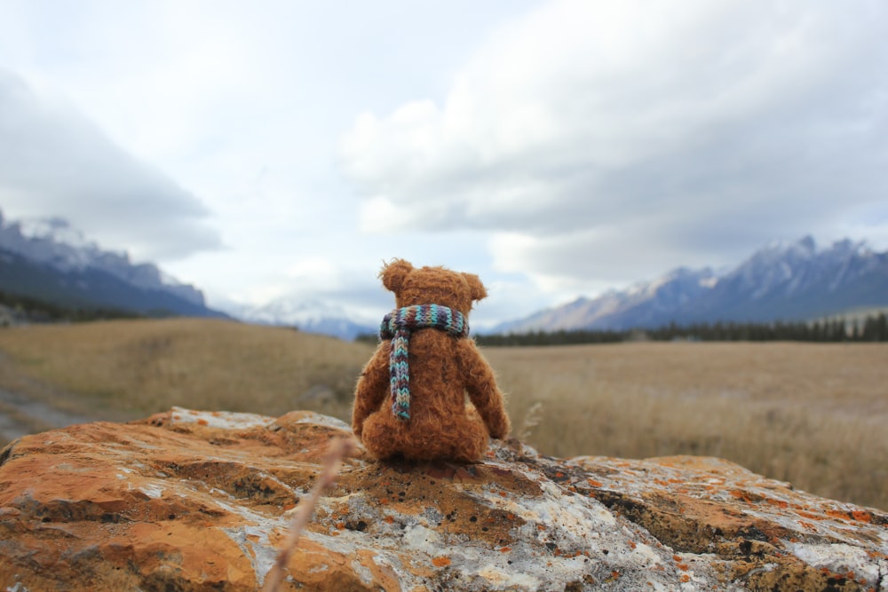 Oso de peluche de juguete en la roca