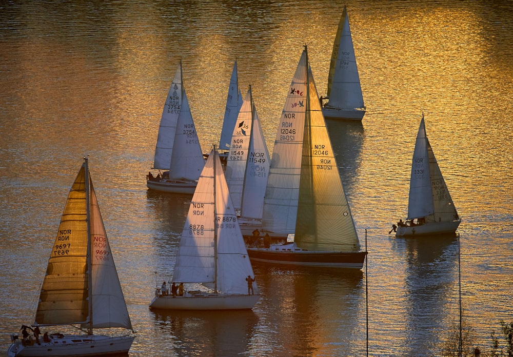 barcos à vela no mar