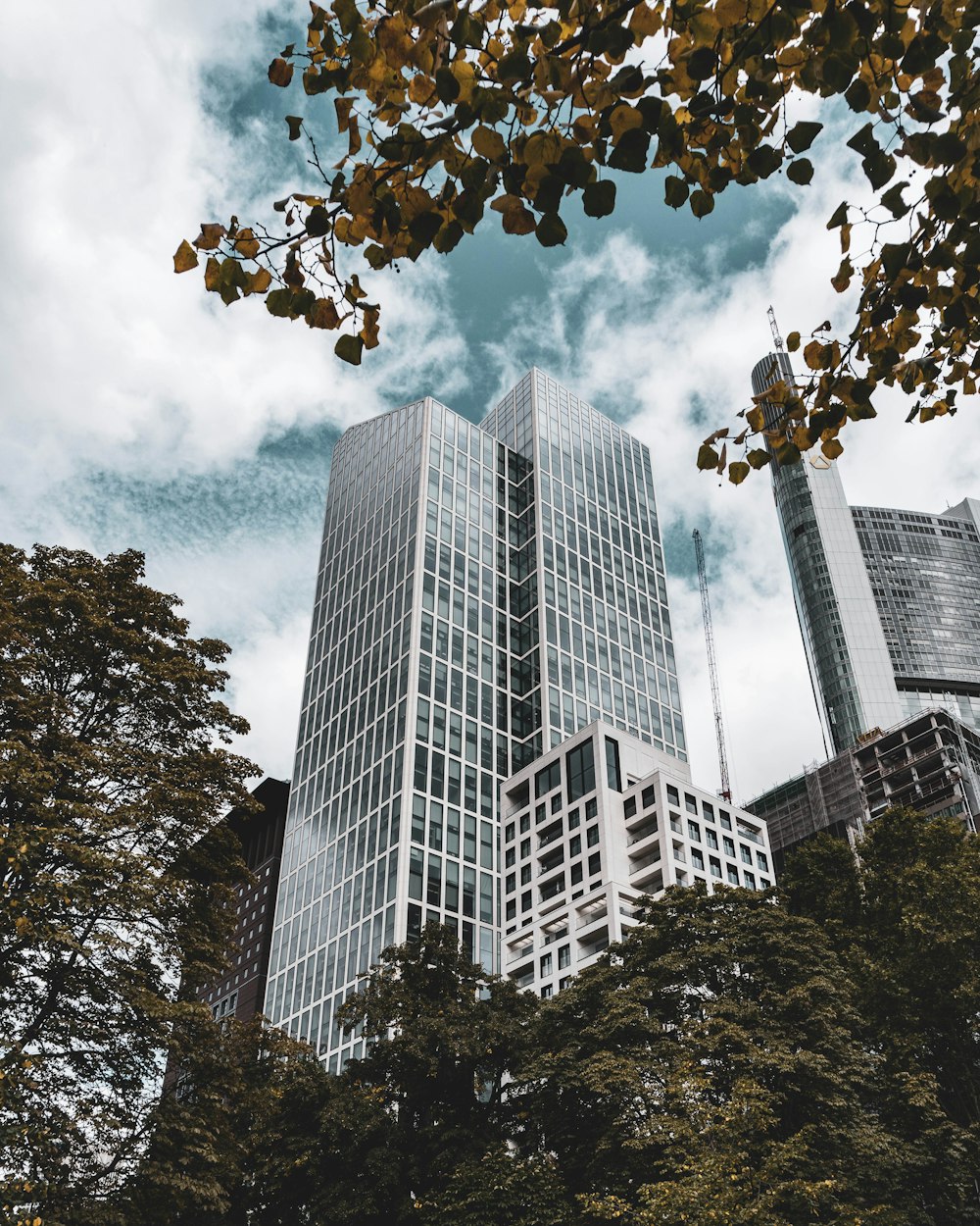 high-rise buildings under white sky