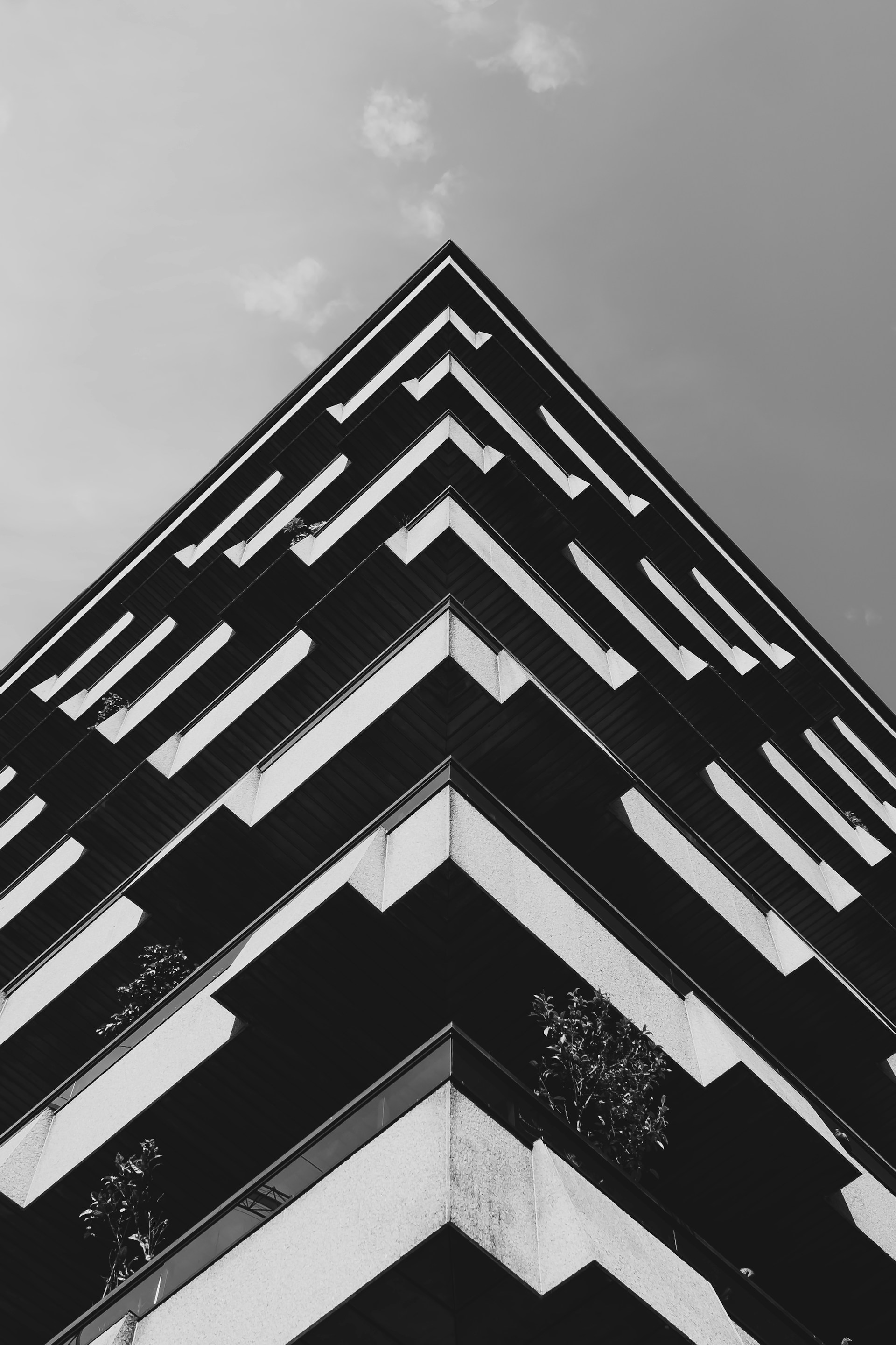a black and white photo of a tall building